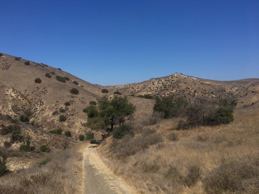 Dirt road winding through dry, brushy hills under a clear blue sky.
