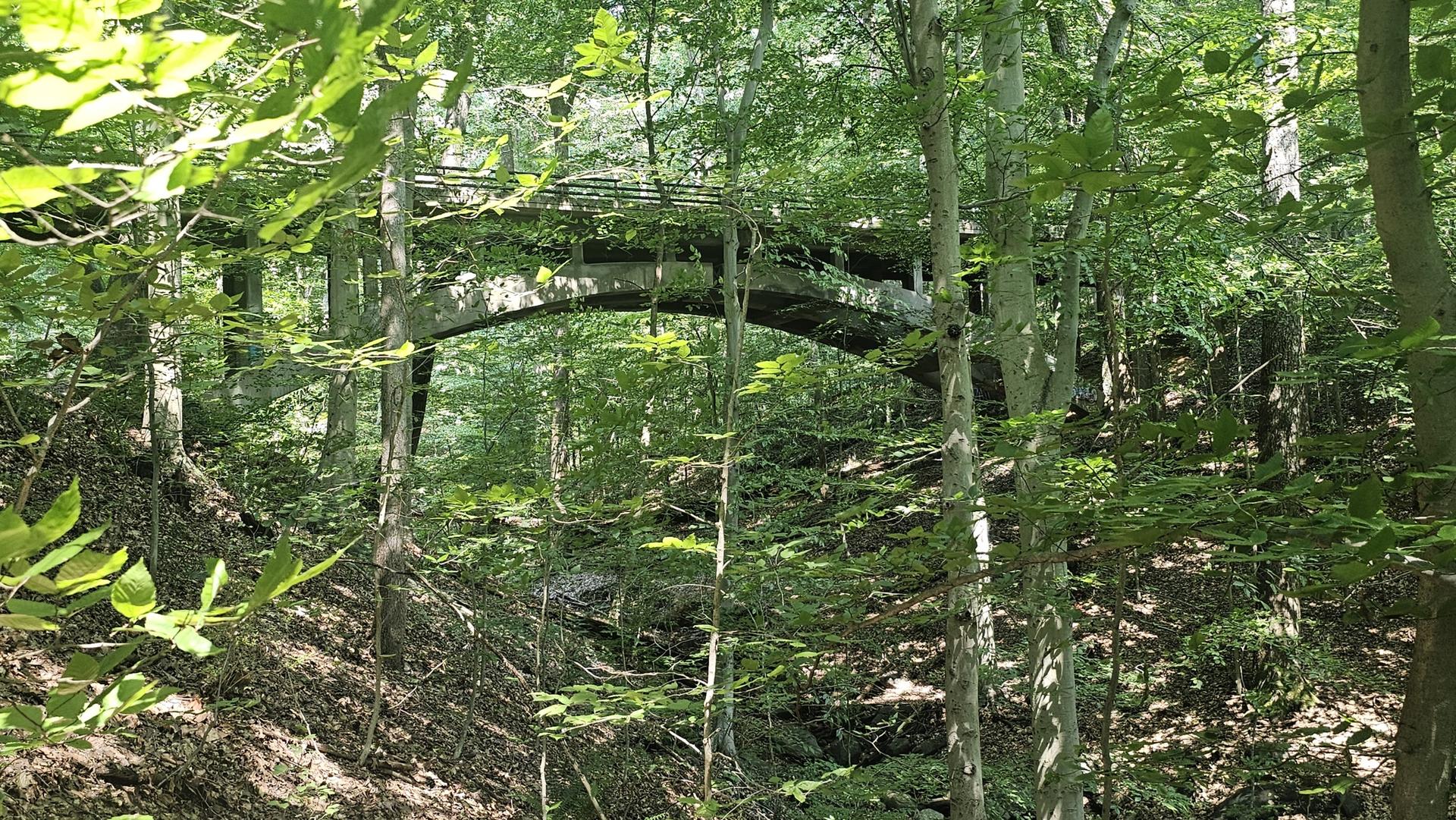 Stone arch bridge partially obscured by dense green summer foliage.