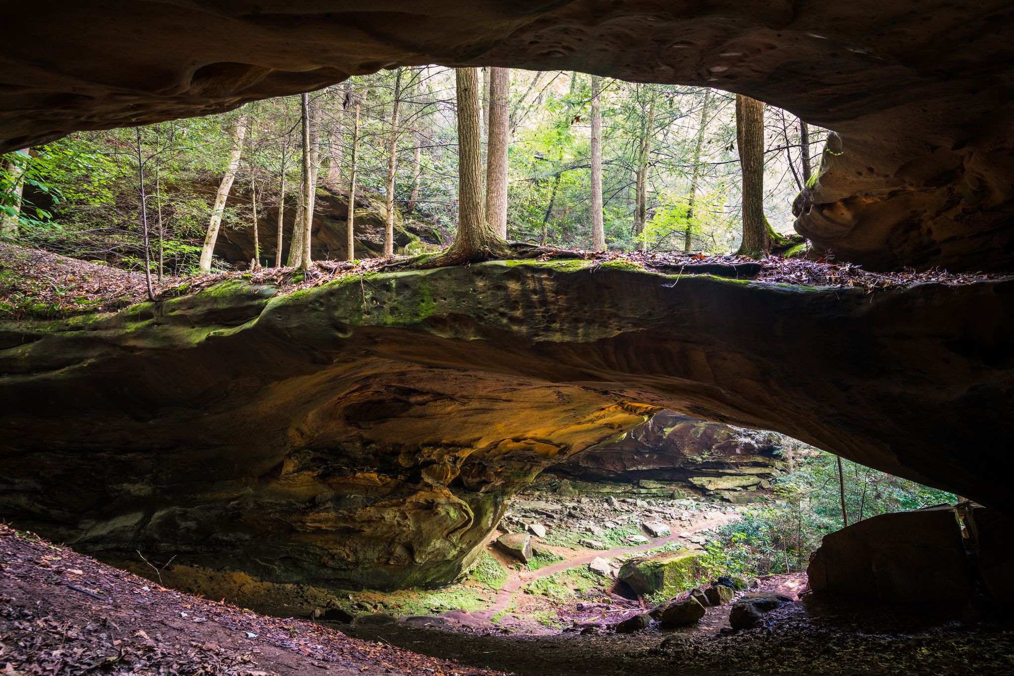 Inside a dark rock shelter, a bright forest is visible through the opening. - Sheltowee Trace and Negro Creek Trail Loop