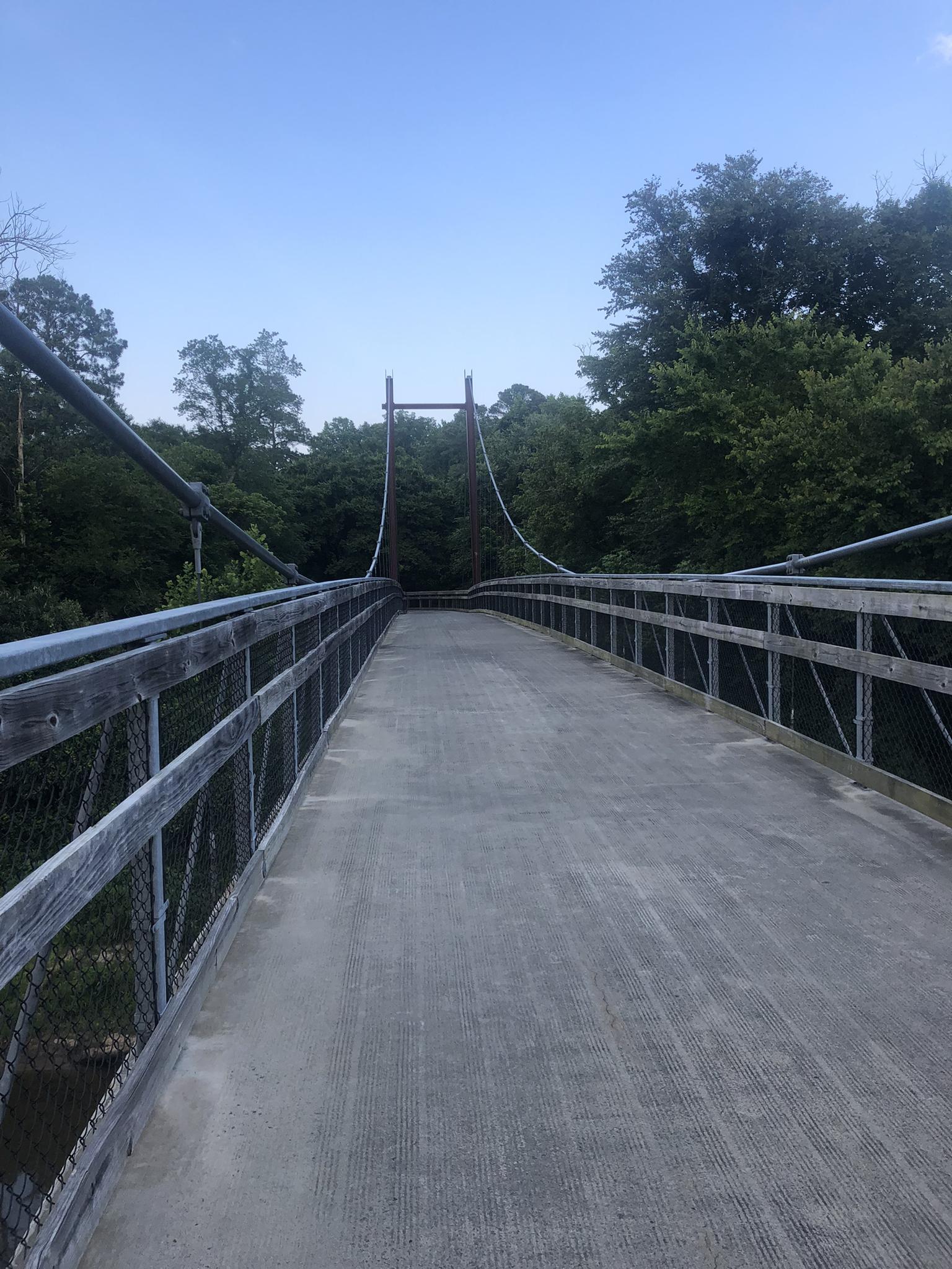 Empty suspension bridge stretching into dense green forest under a clear sky.