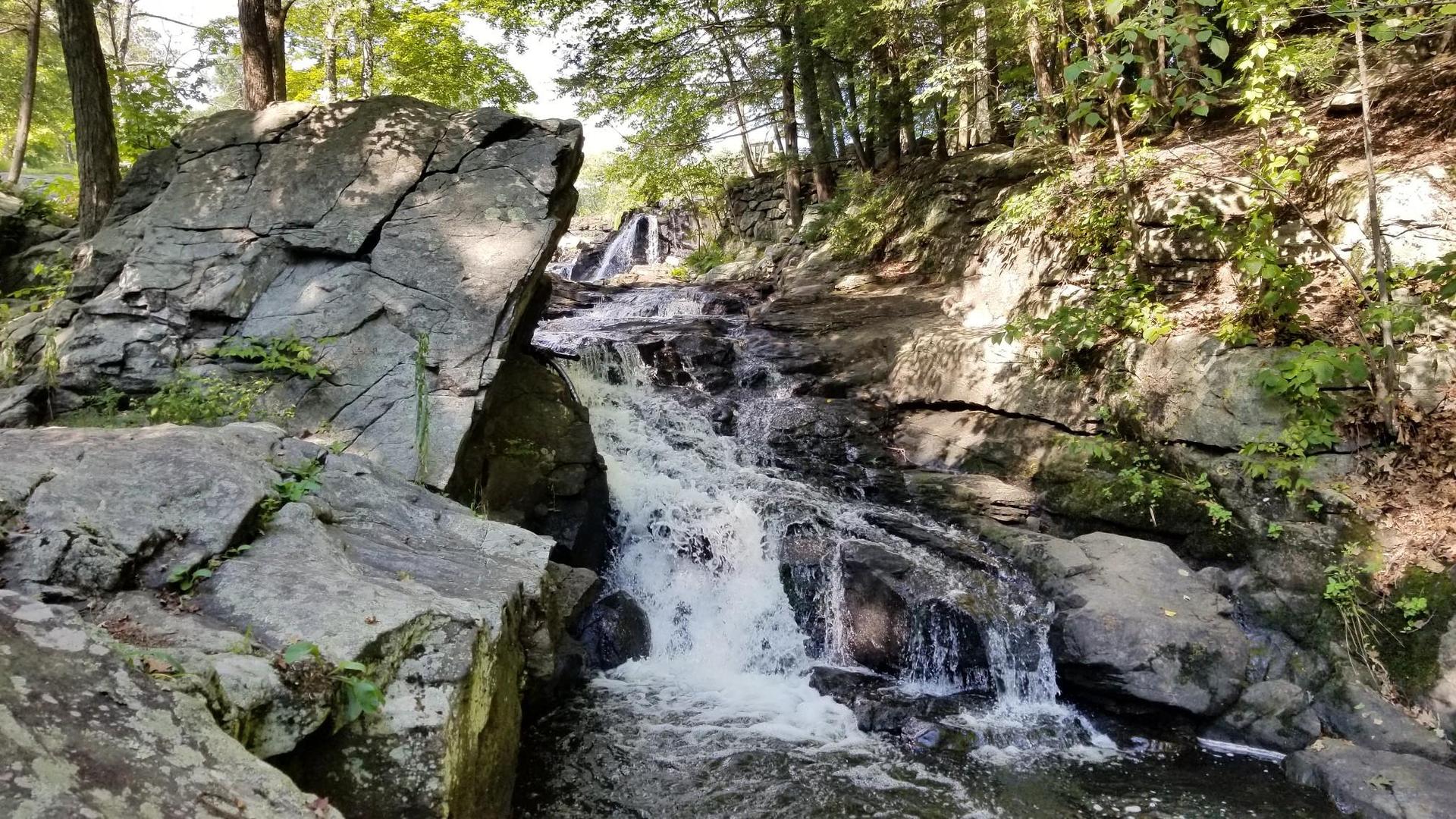 Water cascades over large rocks in a sunlit, forested stream.