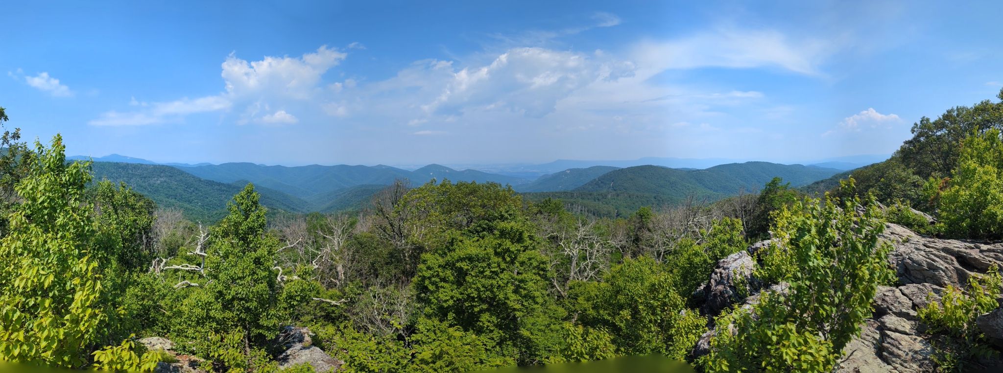 Wide panoramic view of green mountains and trees under a clear blue sky. - Frazier Discovery Trail