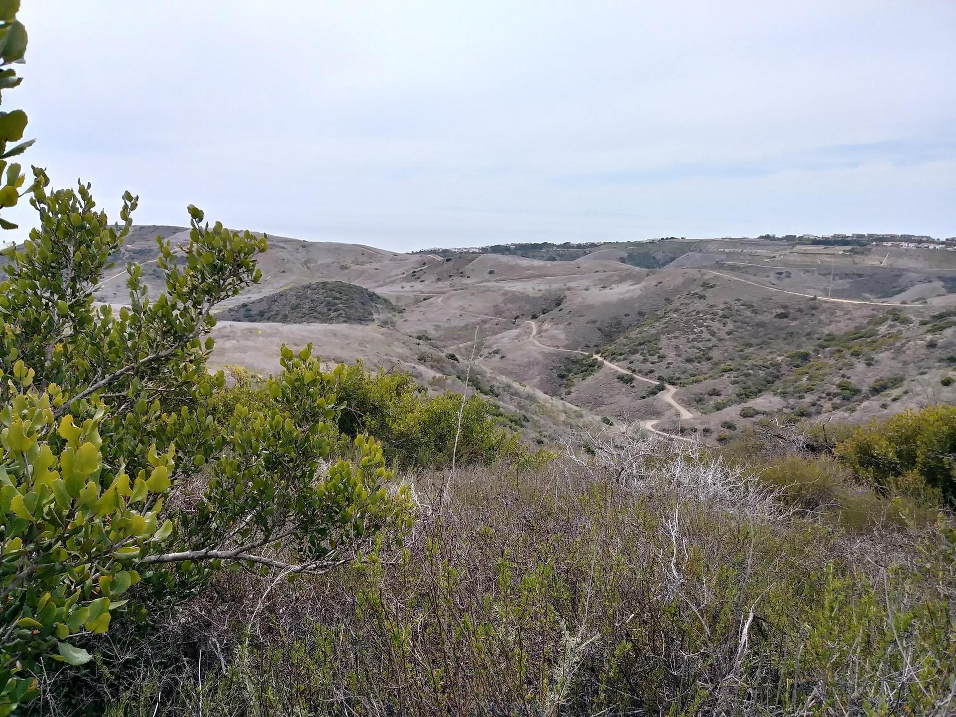 Overlook of rolling hills with sparse vegetation under a cloudy sky.