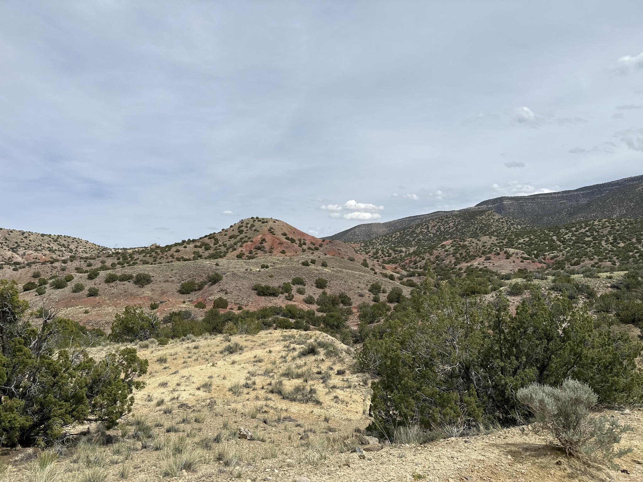 Rolling desert hills with green shrubs under a soft, cloudy sky.