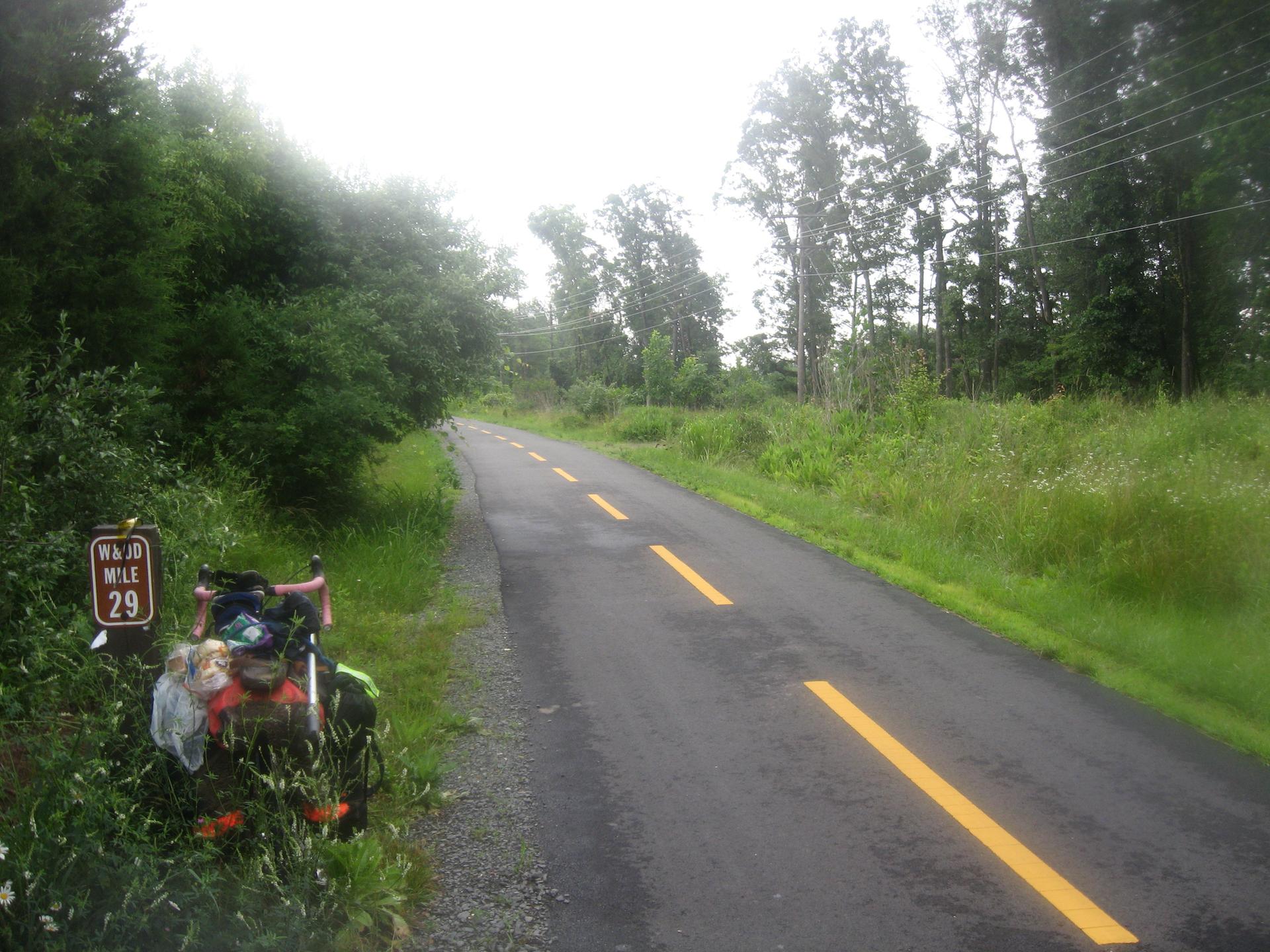 A bicycle parked beside a road sign on a wet, tree-lined asphalt road.