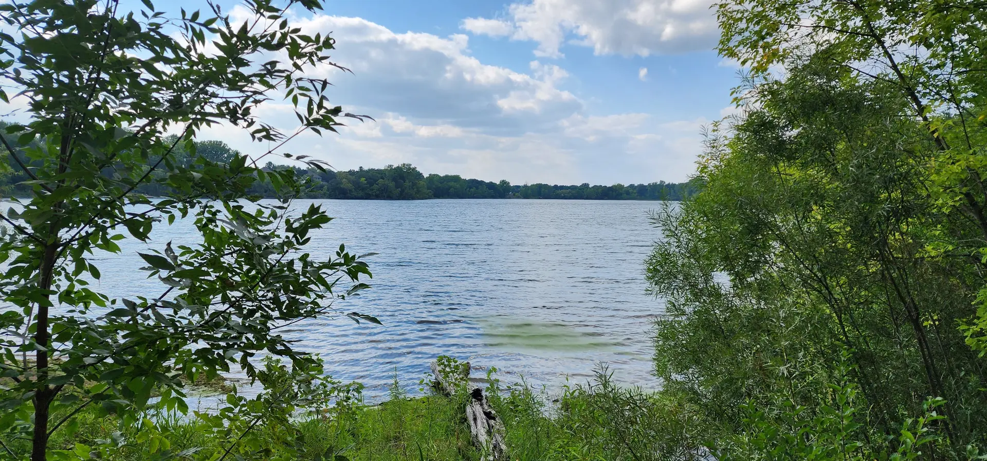Bright lake view framed by lush green trees under a cloudy sky.