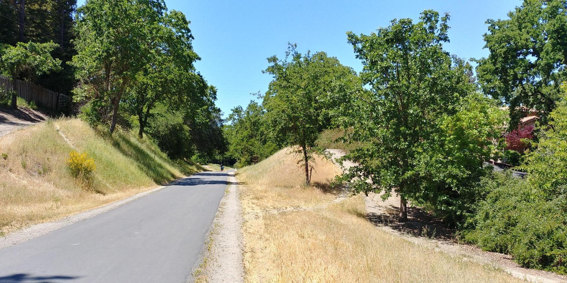 Paved path winding between green, grassy slopes on a sunny day.