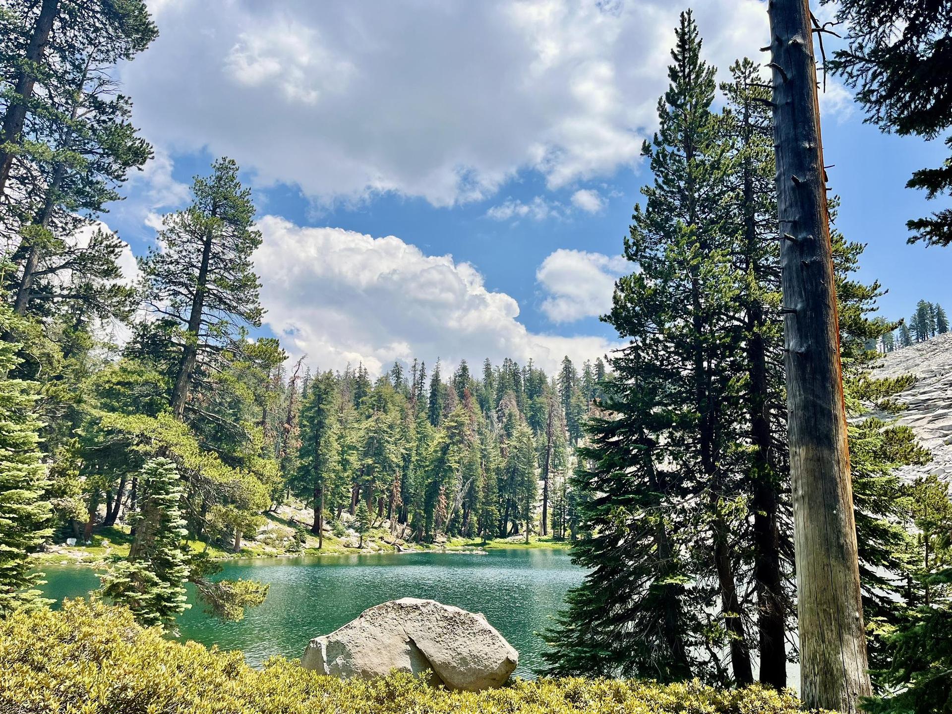 Serene mountain lake surrounded by pine trees under a partly cloudy sky.