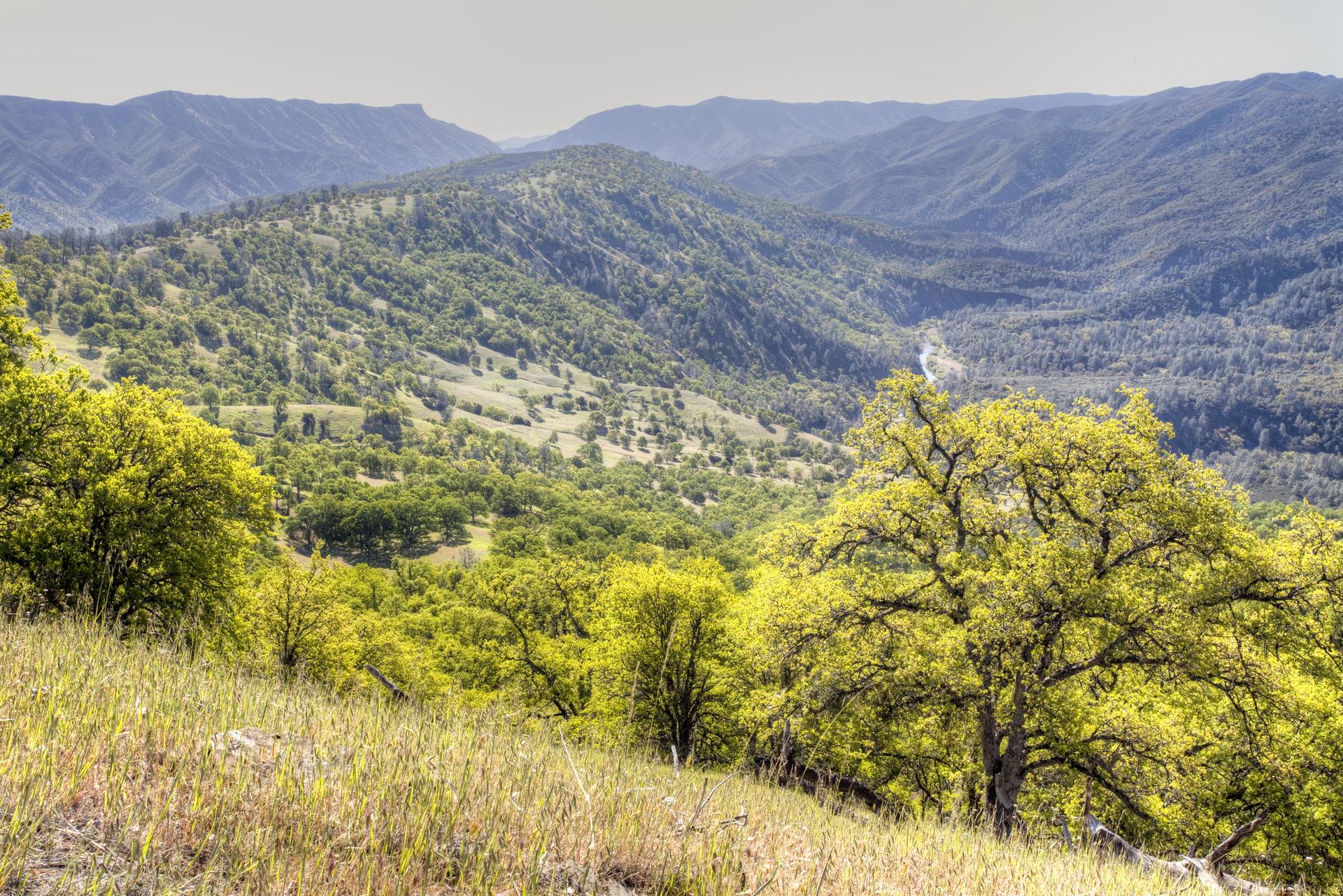Expansive view of green, tree-covered mountains and valleys under bright daylight.