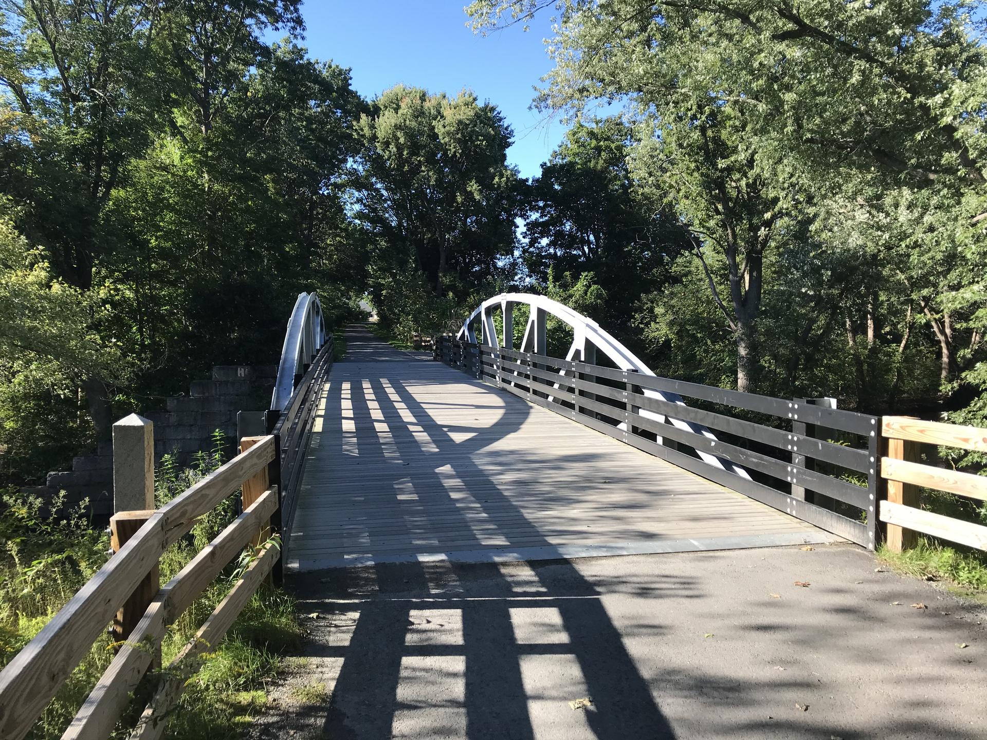 Wooden and metal pedestrian bridge over a path, surrounded by green trees.