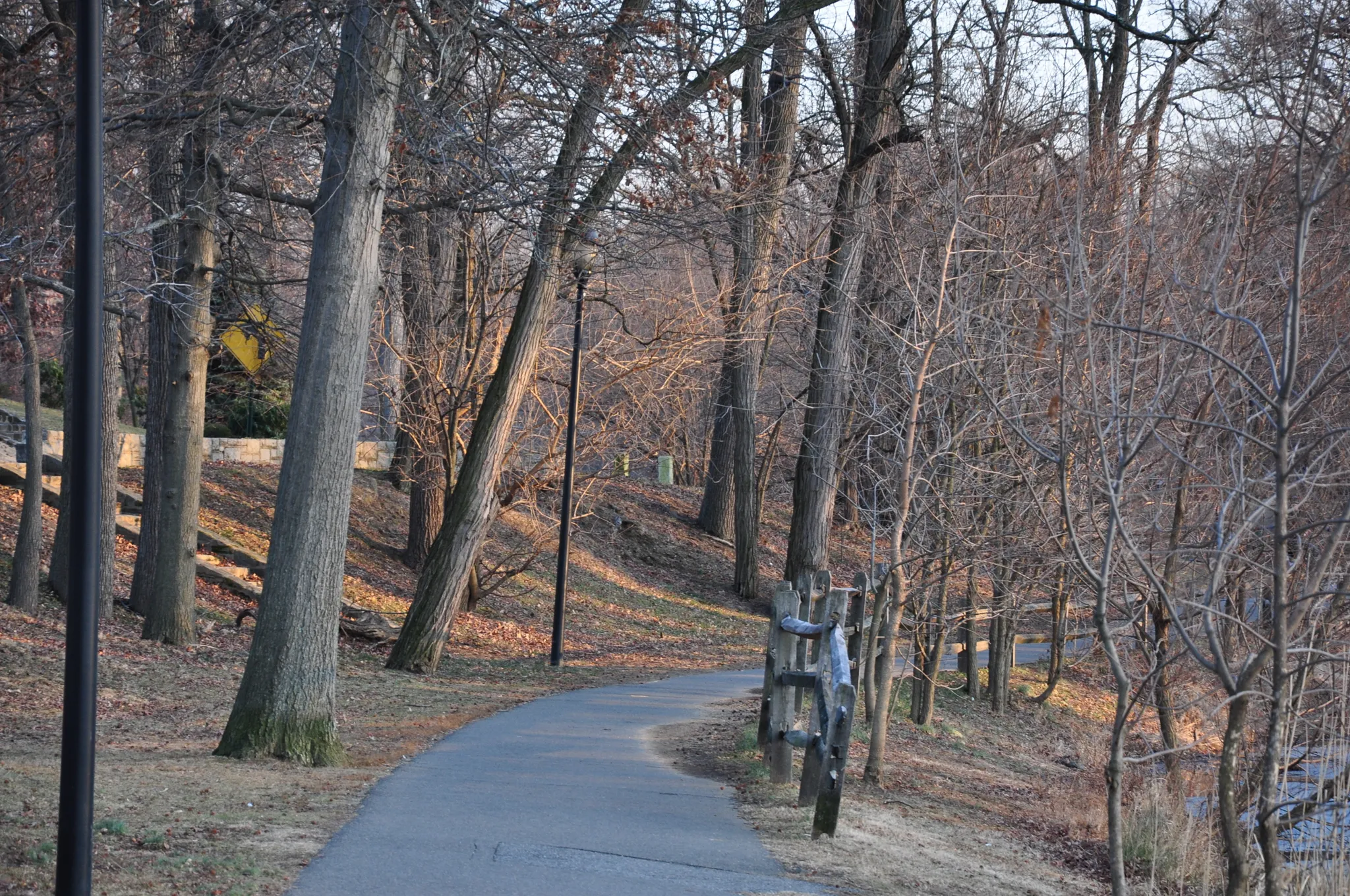 Winding paved path through a bare winter forest with soft light. - Haddon Lake Park loop from Haddonfield