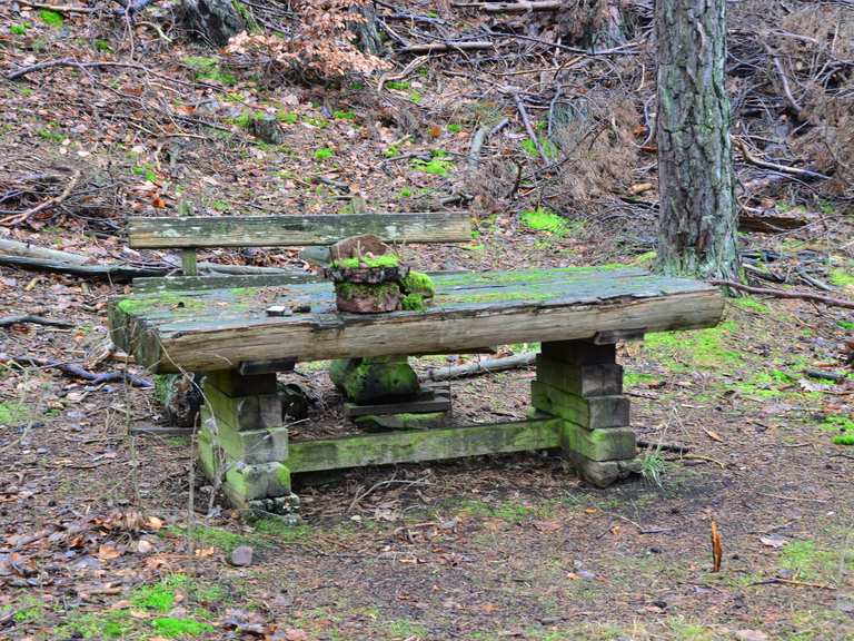 Aire de pique-nique dans la Forêt du Palatinat – Itinéraires randonnée ...