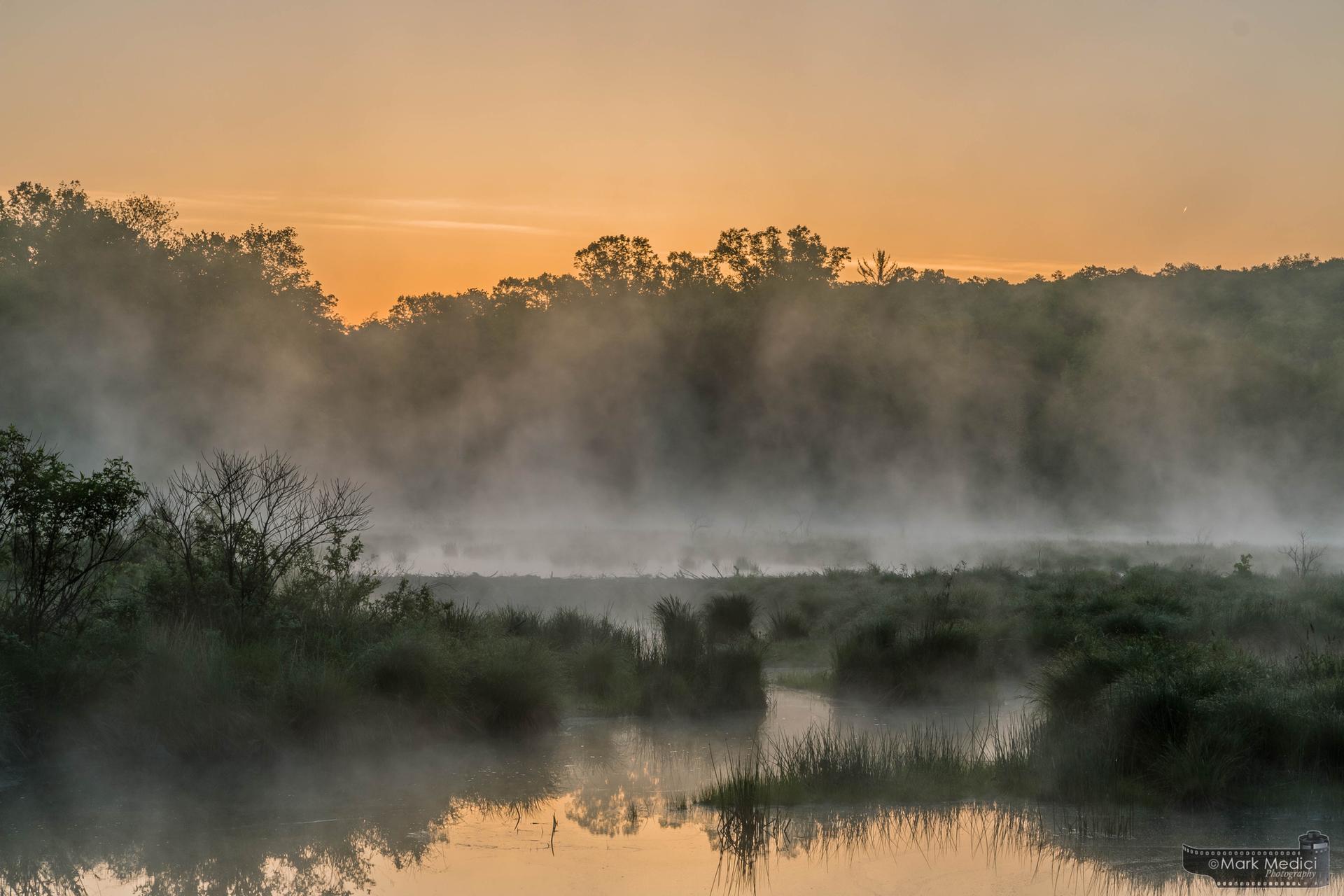 Misty river landscape at sunrise, with warm orange light and dense fog.