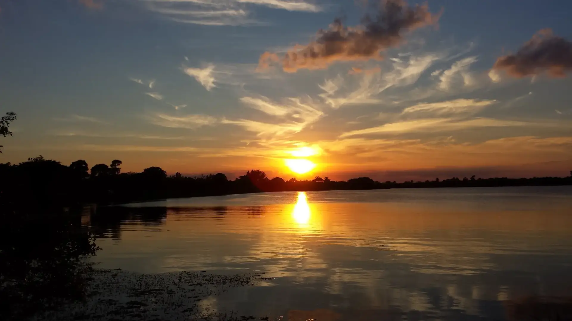 Golden sunset over calm water with silhouetted trees and colorful sky.
