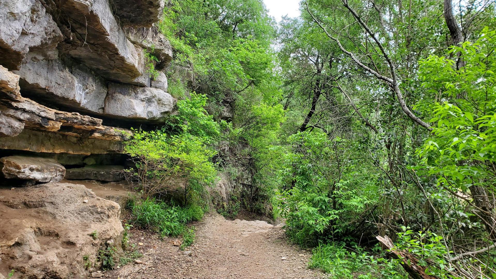 Dirt path winding beside a rocky cliff and lush green forest.