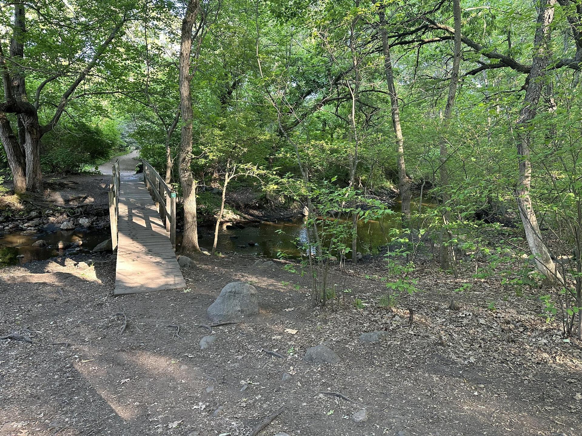 Wooden footbridge crossing a small stream in a sunlit forest.