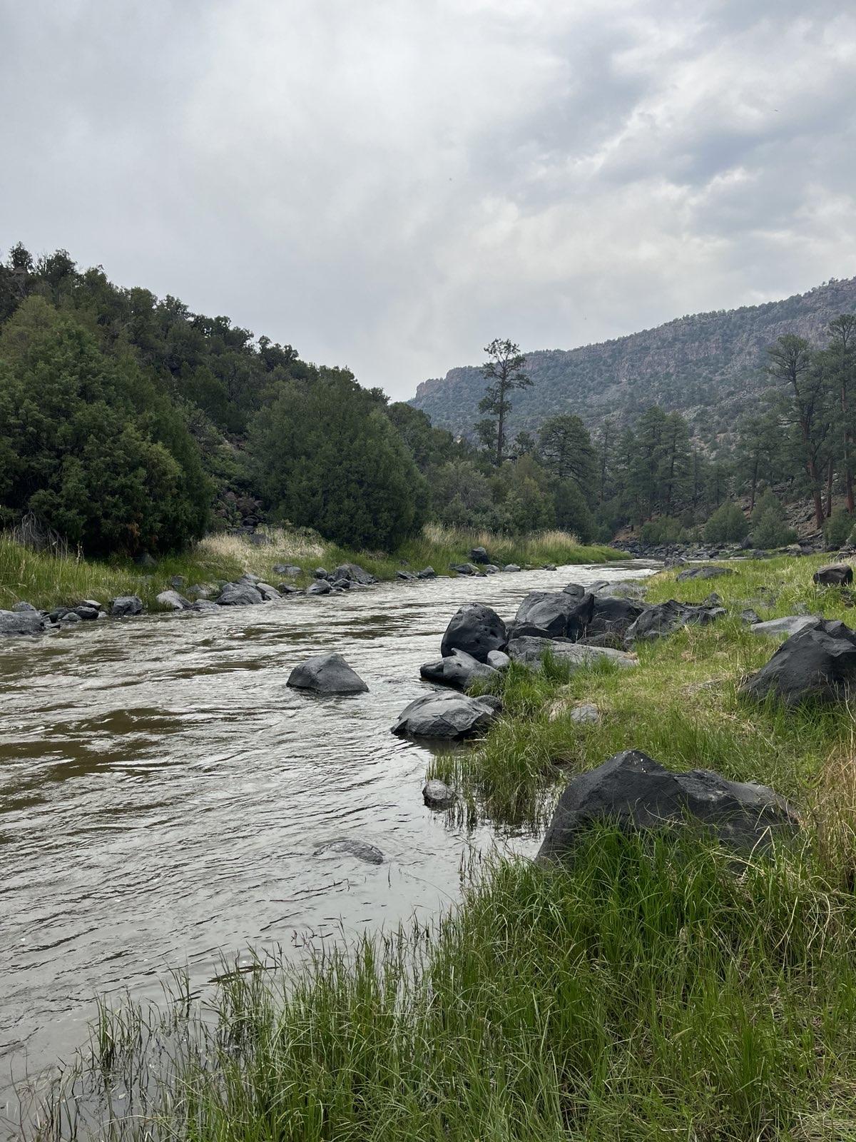 A river with rocks and green banks flows through a forested landscape under a cloudy sky.