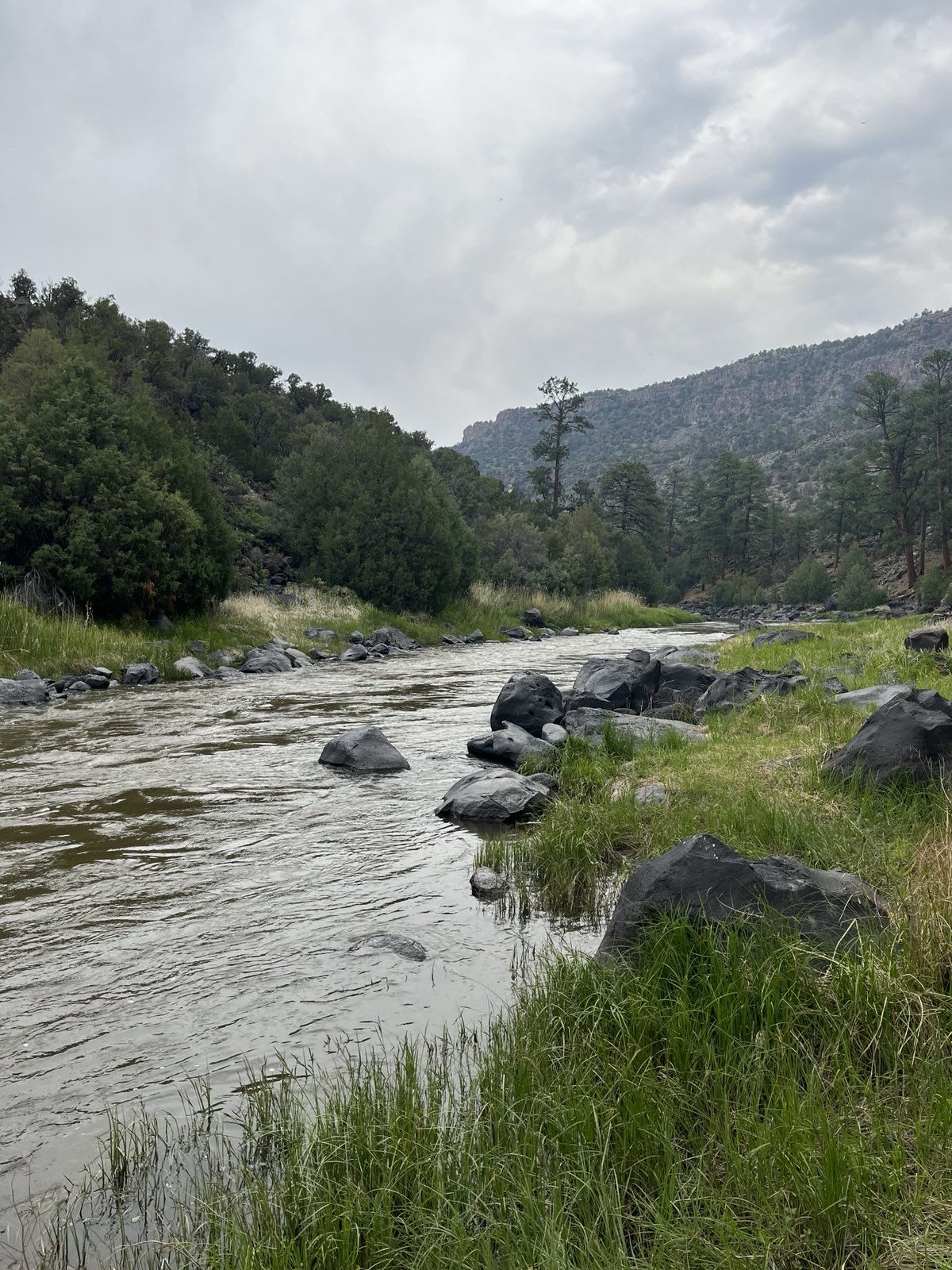 A river with rocks and green banks flows through a forested landscape under a cloudy sky. - La Junta and River Trail Loop
