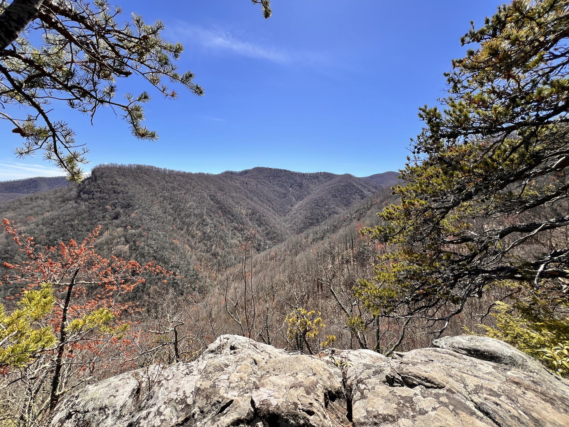 Panoramic view of rolling mountains and bare trees under a clear blue sky.