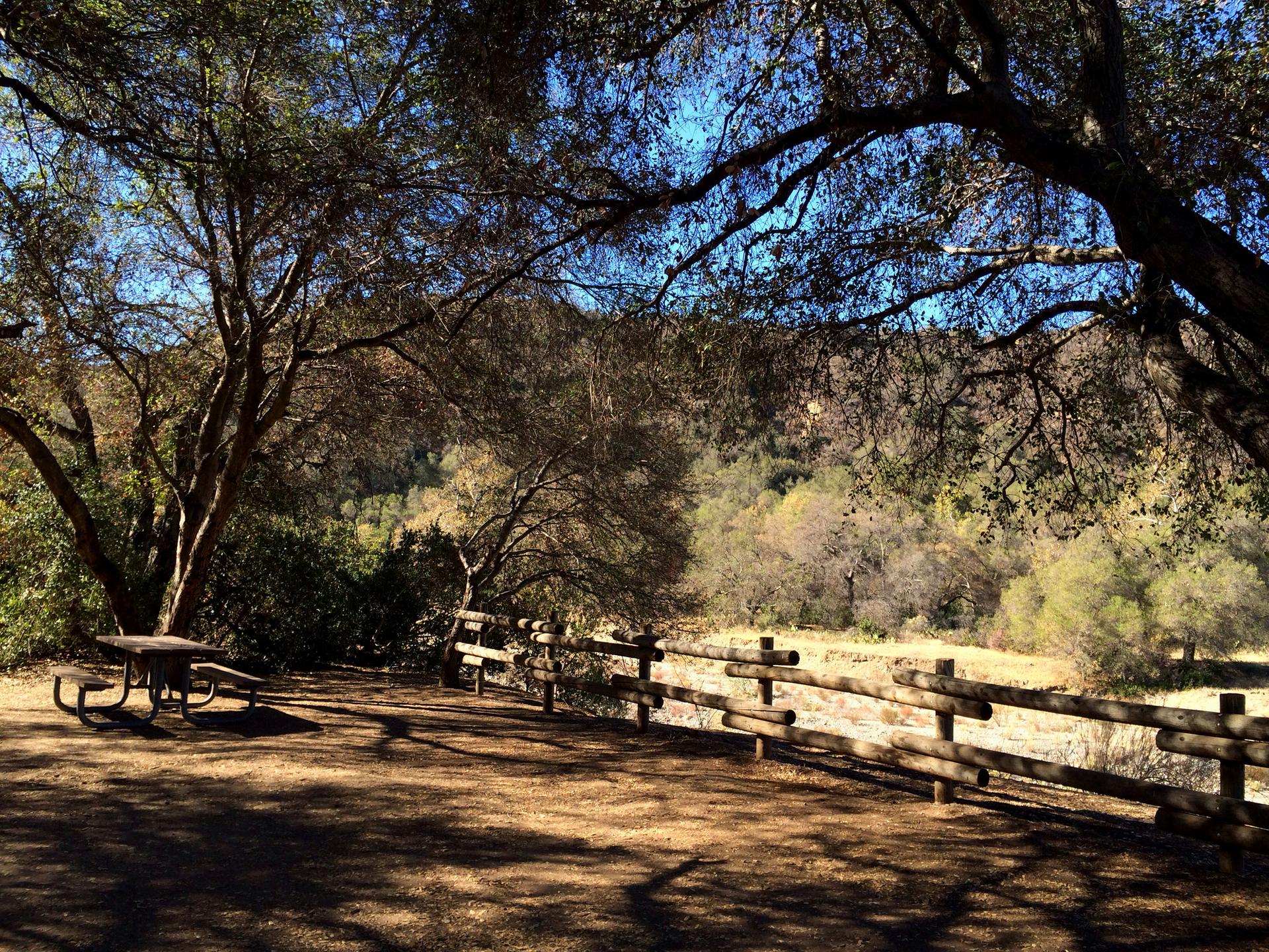 Shady picnic table and bench by a wooden fence, sunny background.