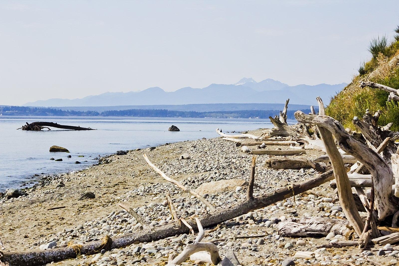 Rocky beach with driftwood, calm water, and distant mountains on a bright day.