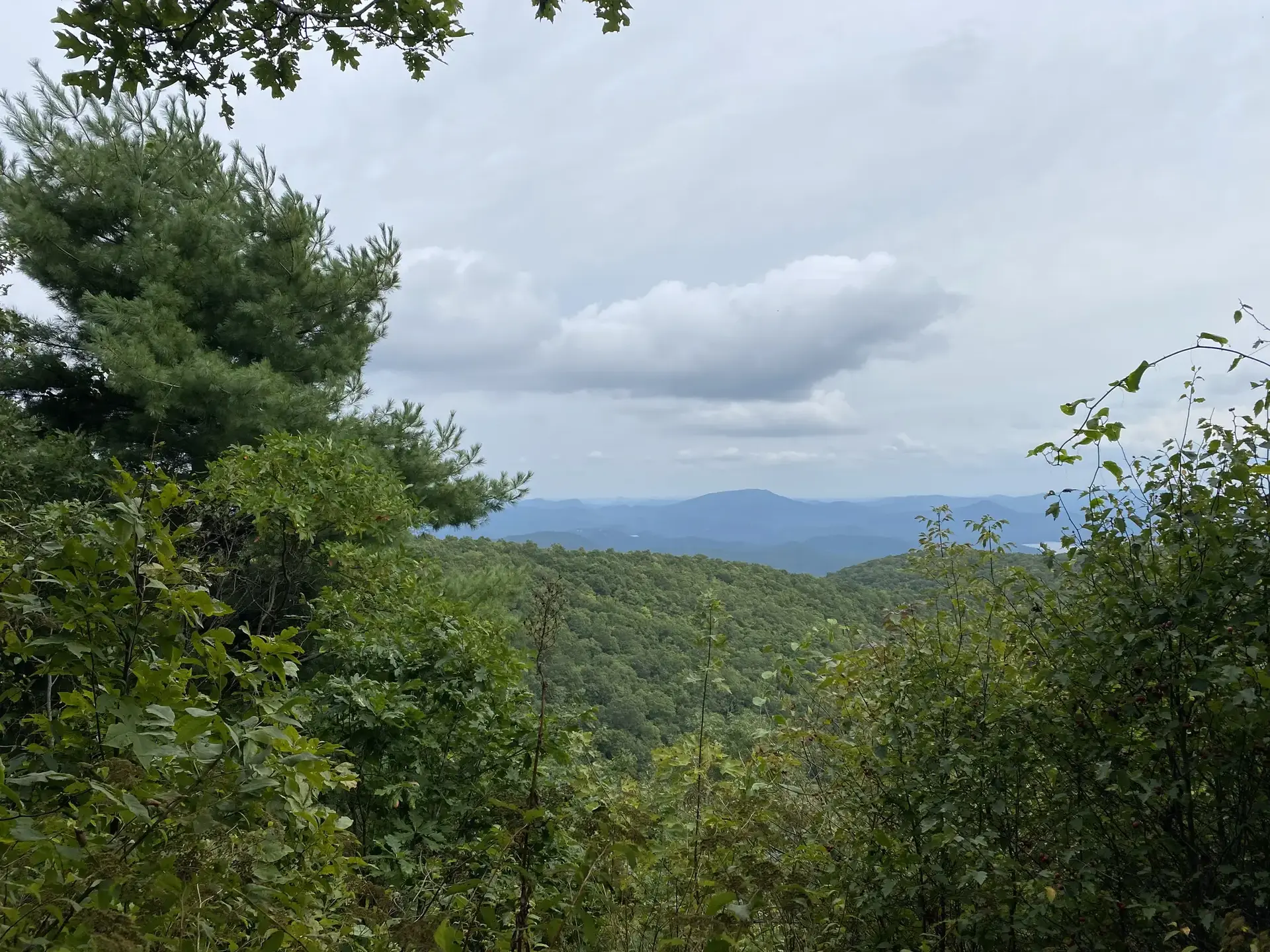 Panoramic view of lush green mountains under a cloudy sky.