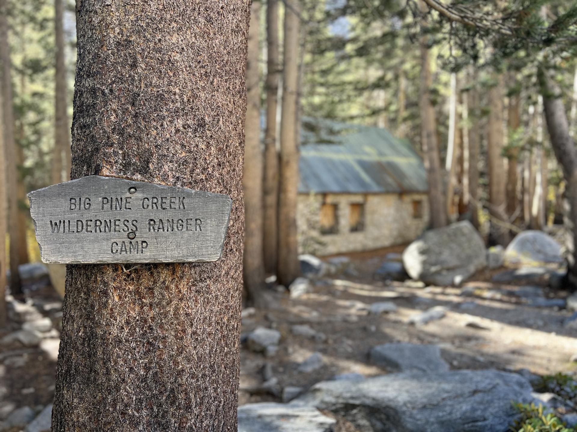 A weathered wooden sign on a tree, with a stone building in a sunny forest.