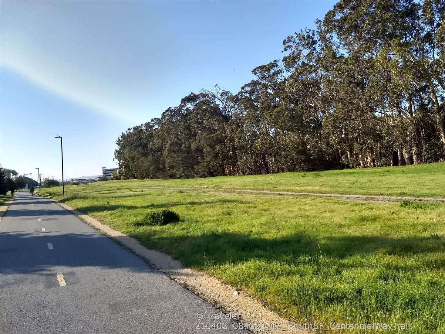 A paved path runs alongside a wide grassy field with tall trees, sunny.