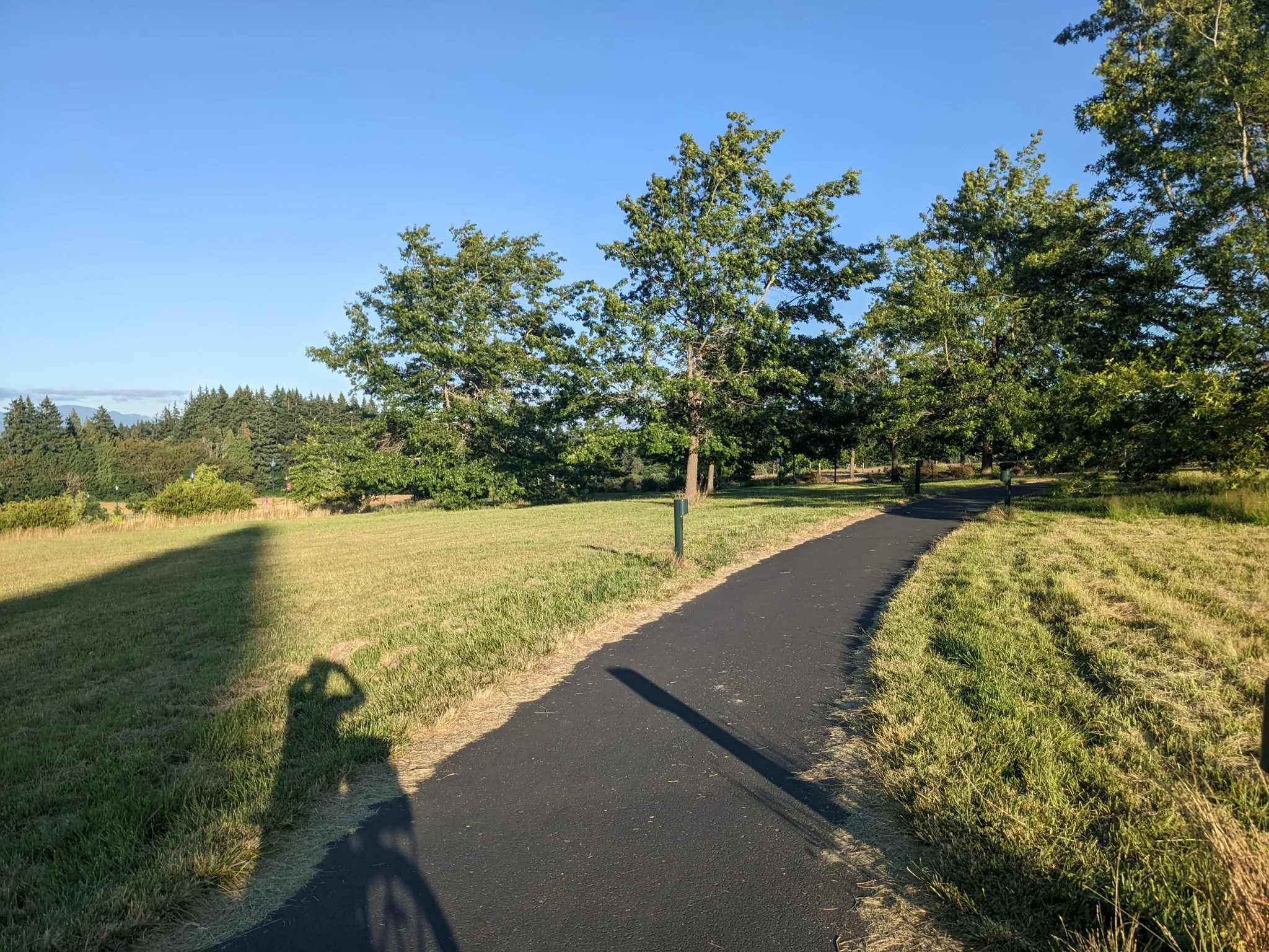 A winding paved path through a sunlit park with trees and a photographer's shadow. - South Royle Road loop from Mount Vista