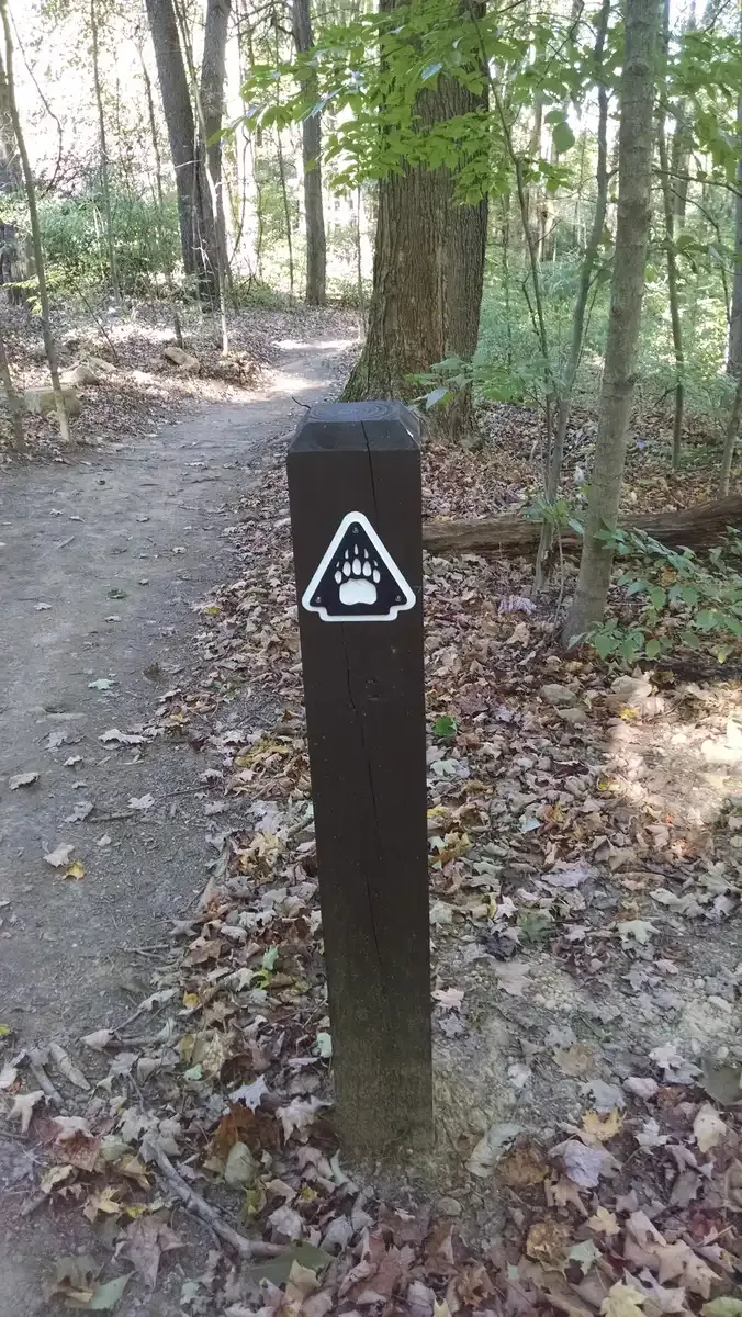 Wooden post with a bear paw sign on a forest path with dappled sunlight. - Black Bear Trail Loop