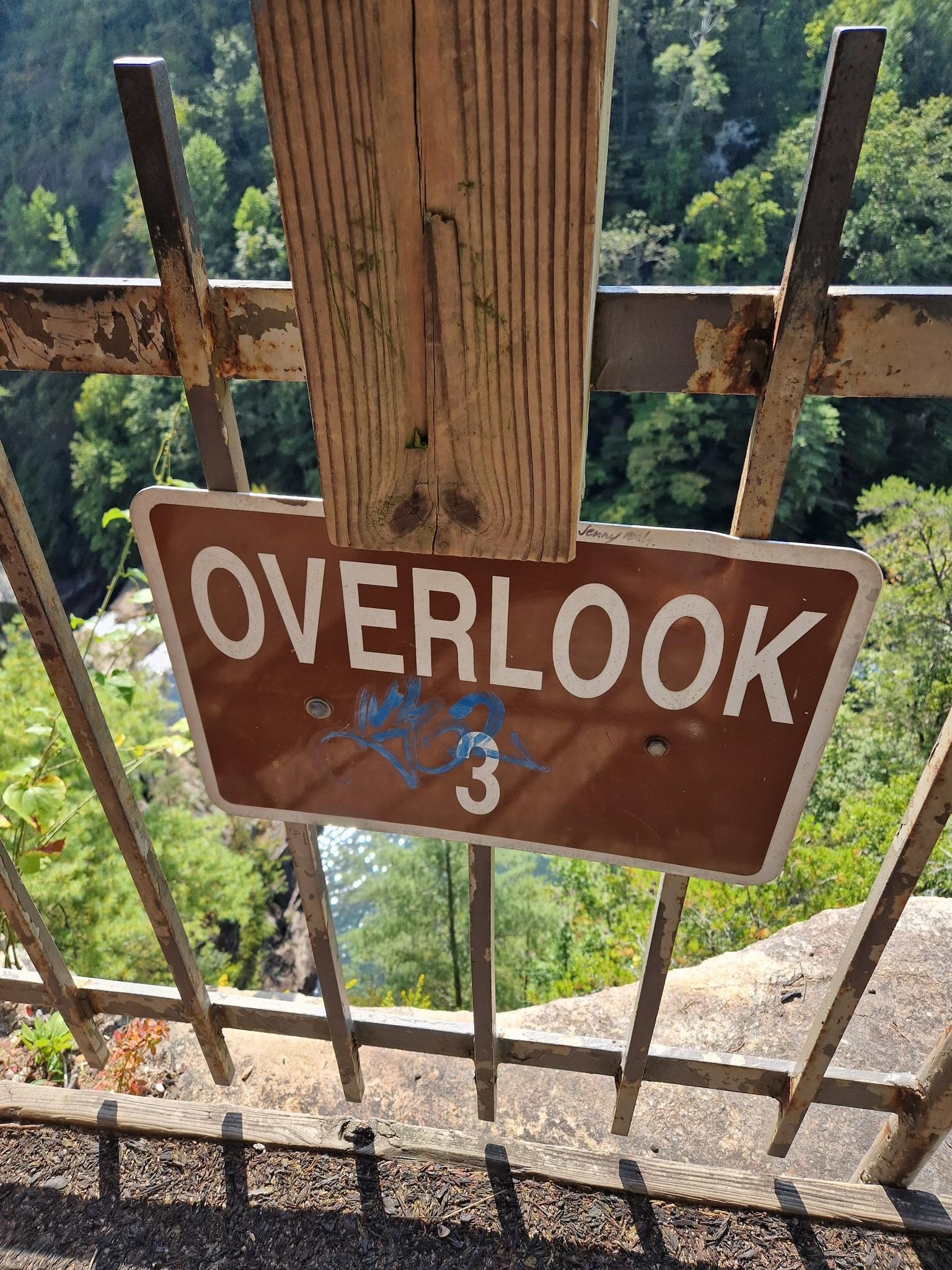 Brown 'OVERLOOK' sign on a metal fence, with green trees below.
