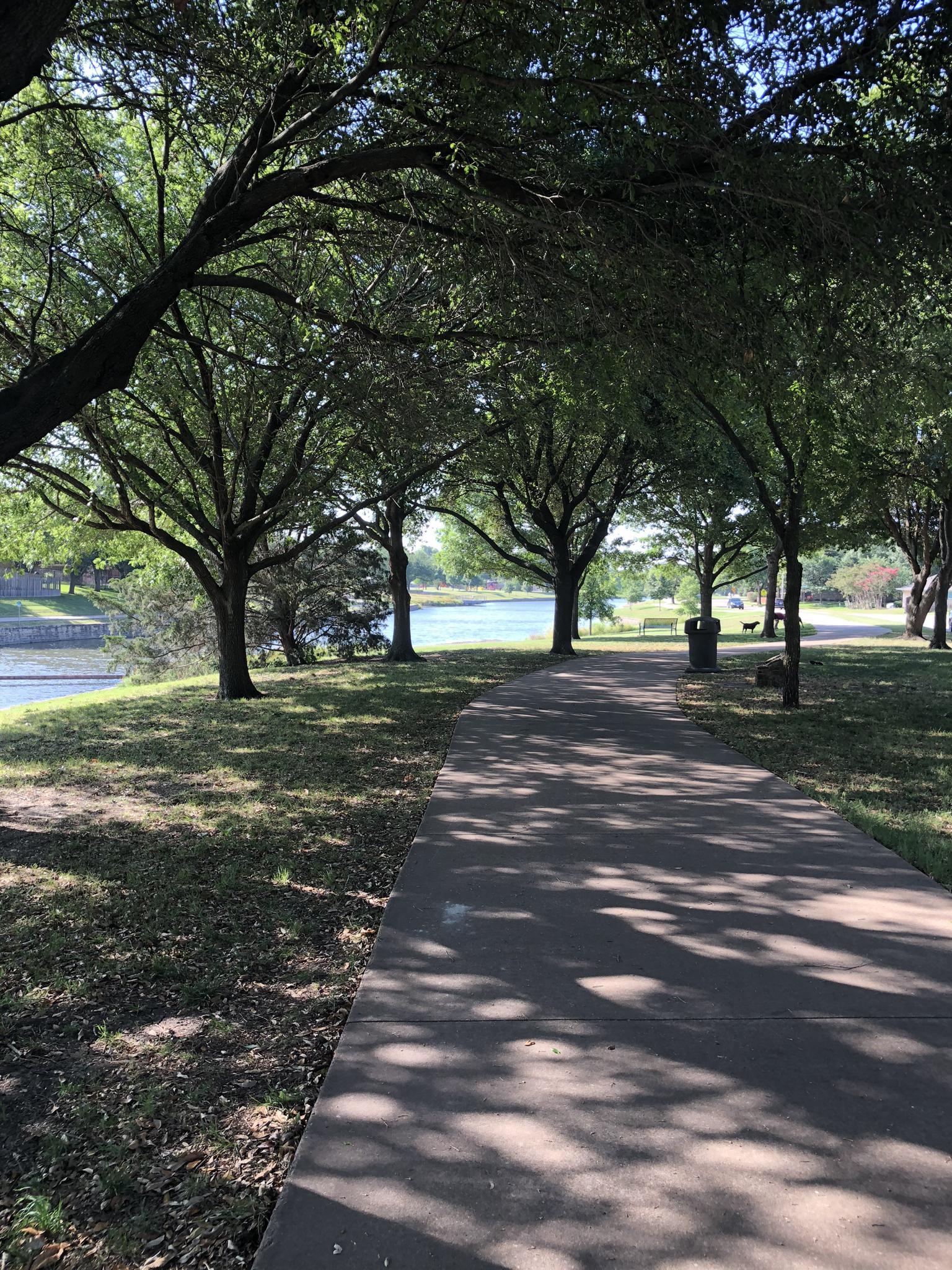 Shady paved path alongside a calm body of water on a sunny day.