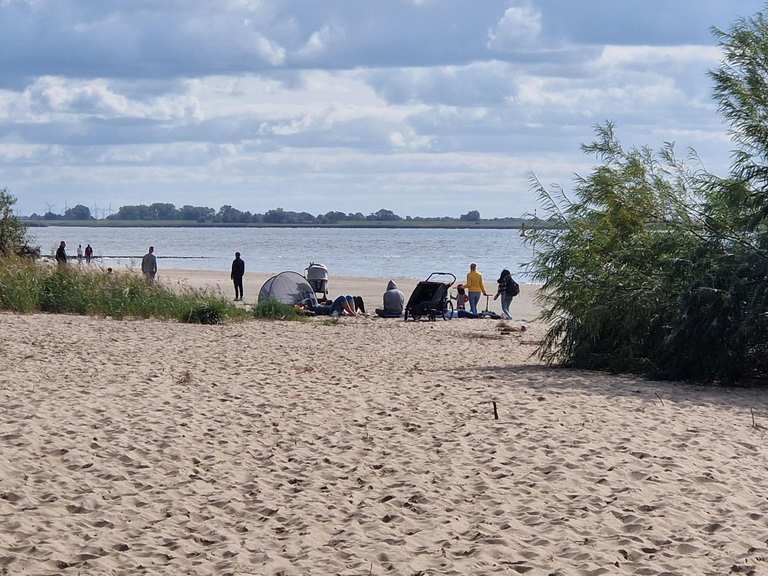 Eisstand am Strand von Kollmar : Radtouren und Radwege | komoot
