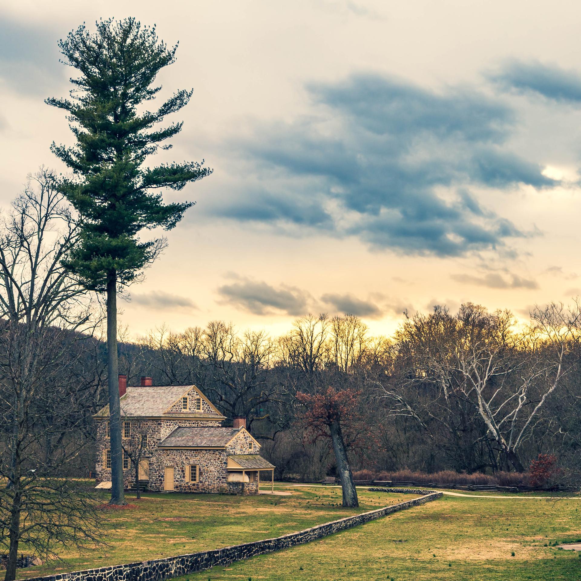 Stone house next to a tall pine tree, with a stone wall and cloudy sunset.