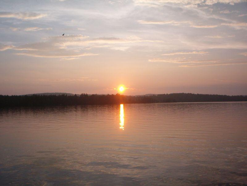 Golden sunset over calm water with a distant treeline and cloudy sky.