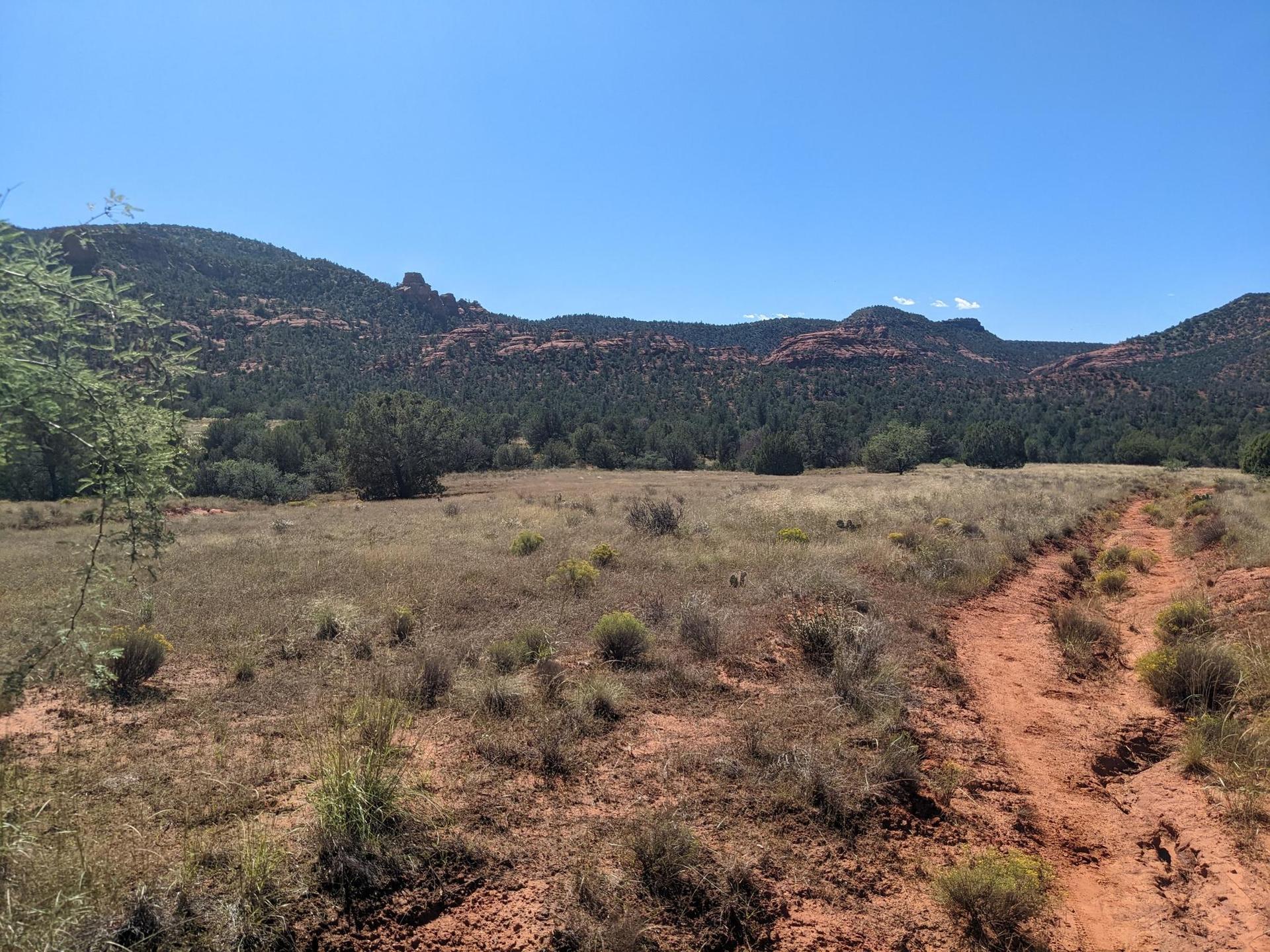 A red dirt path crosses a sunny field towards distant green mountains.