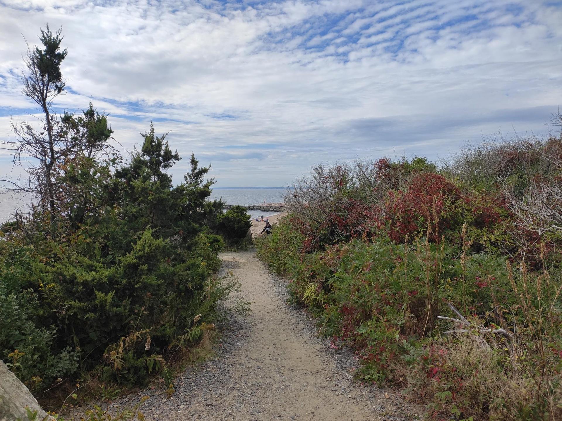 Dirt path winds through coastal shrubs towards the distant ocean under cloudy sky.