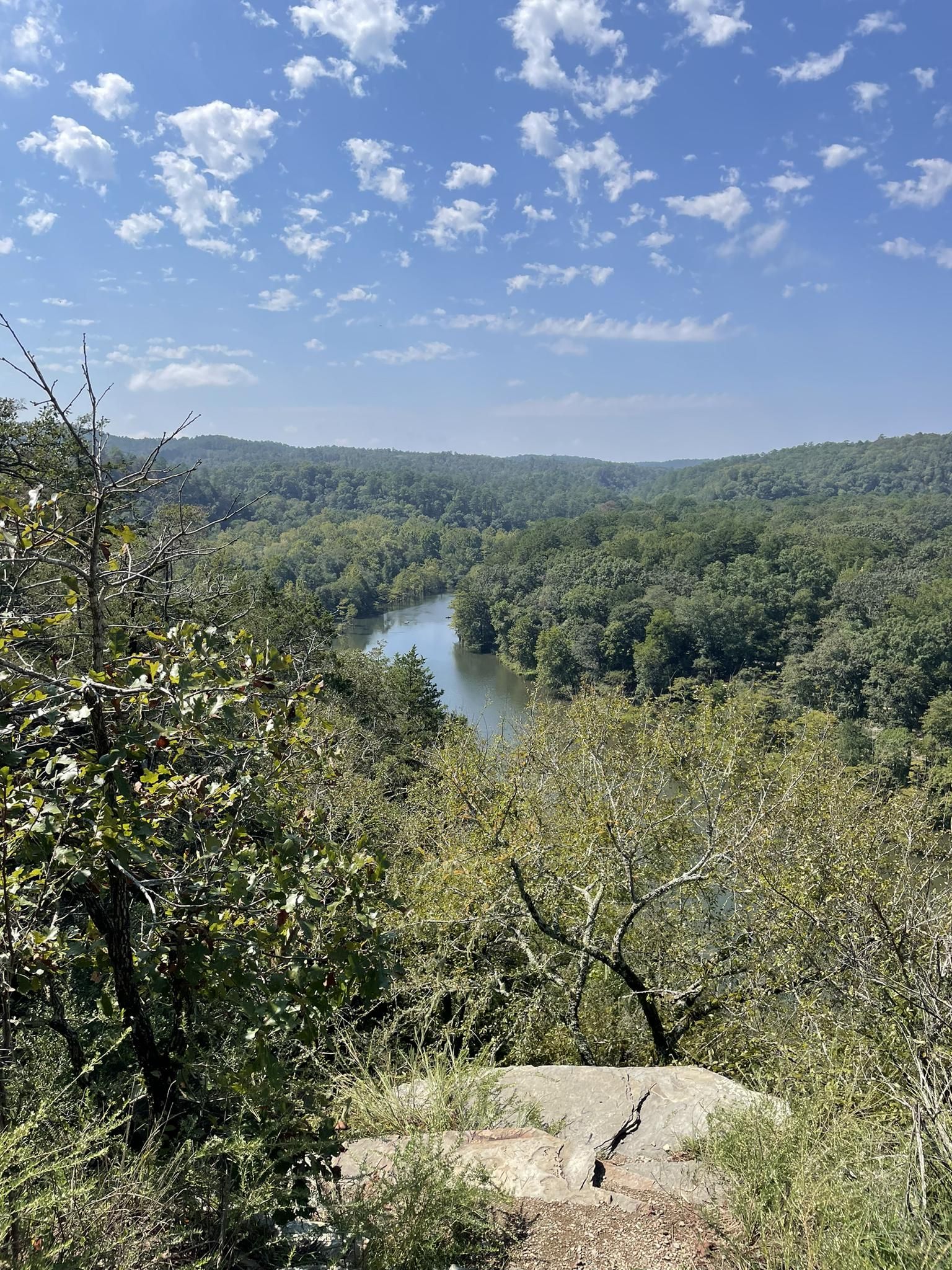 Overlook of a winding river through a vast green forest under a cloudy sky. - Skyline Trail