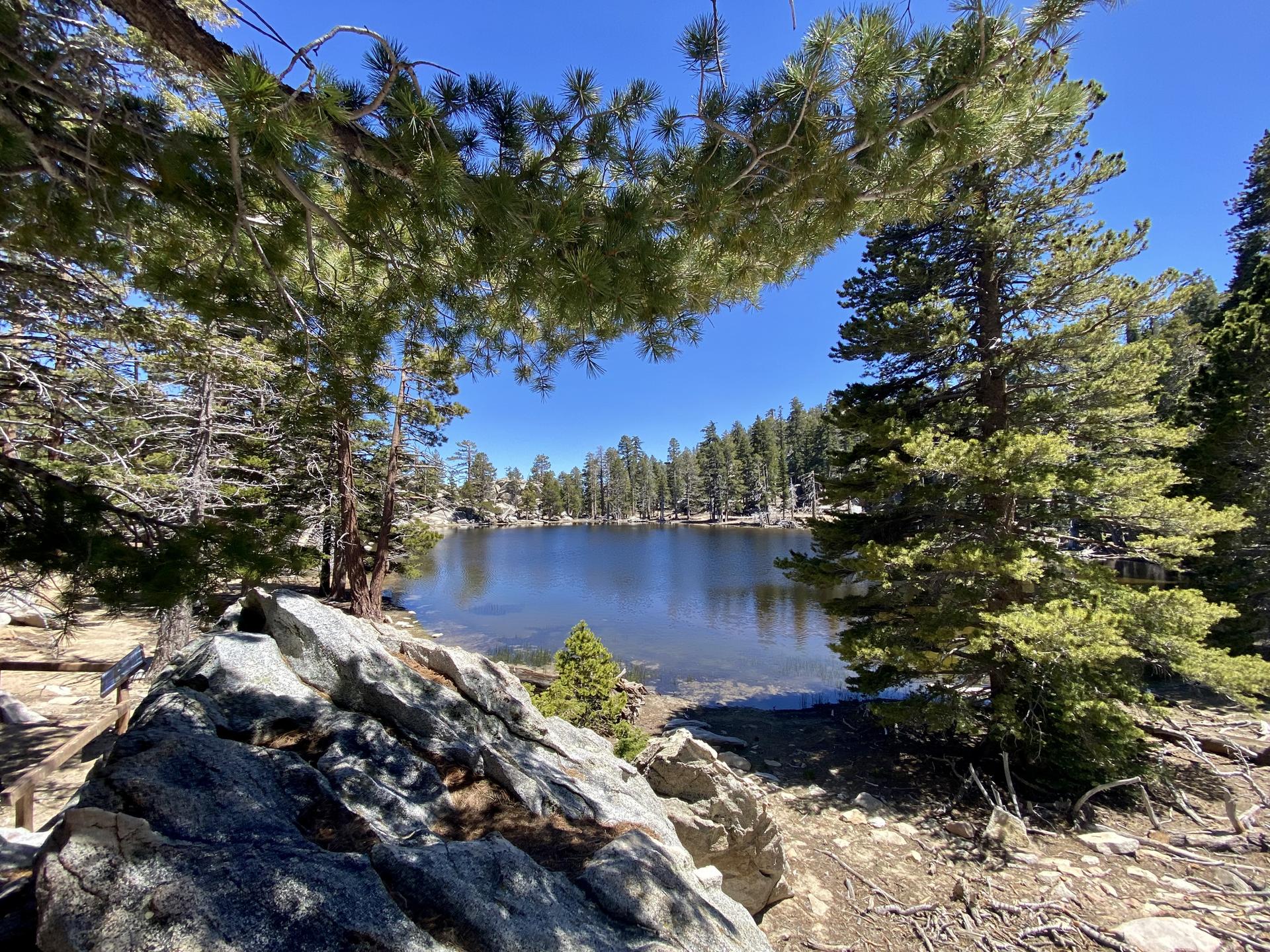 Sunny view of a calm lake surrounded by pine trees and large rocks.