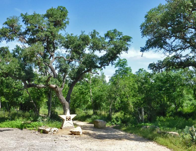 A star-shaped marker on a dirt path surrounded by large green trees.