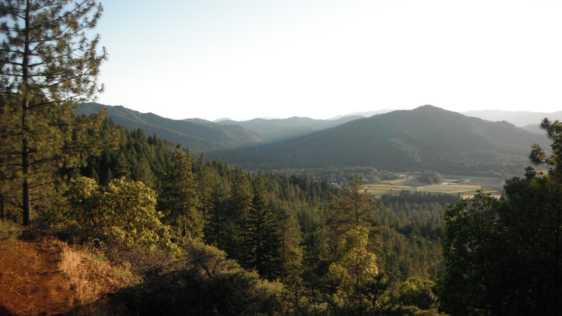 Panoramic view of forested mountains and a valley under bright, hazy skies.