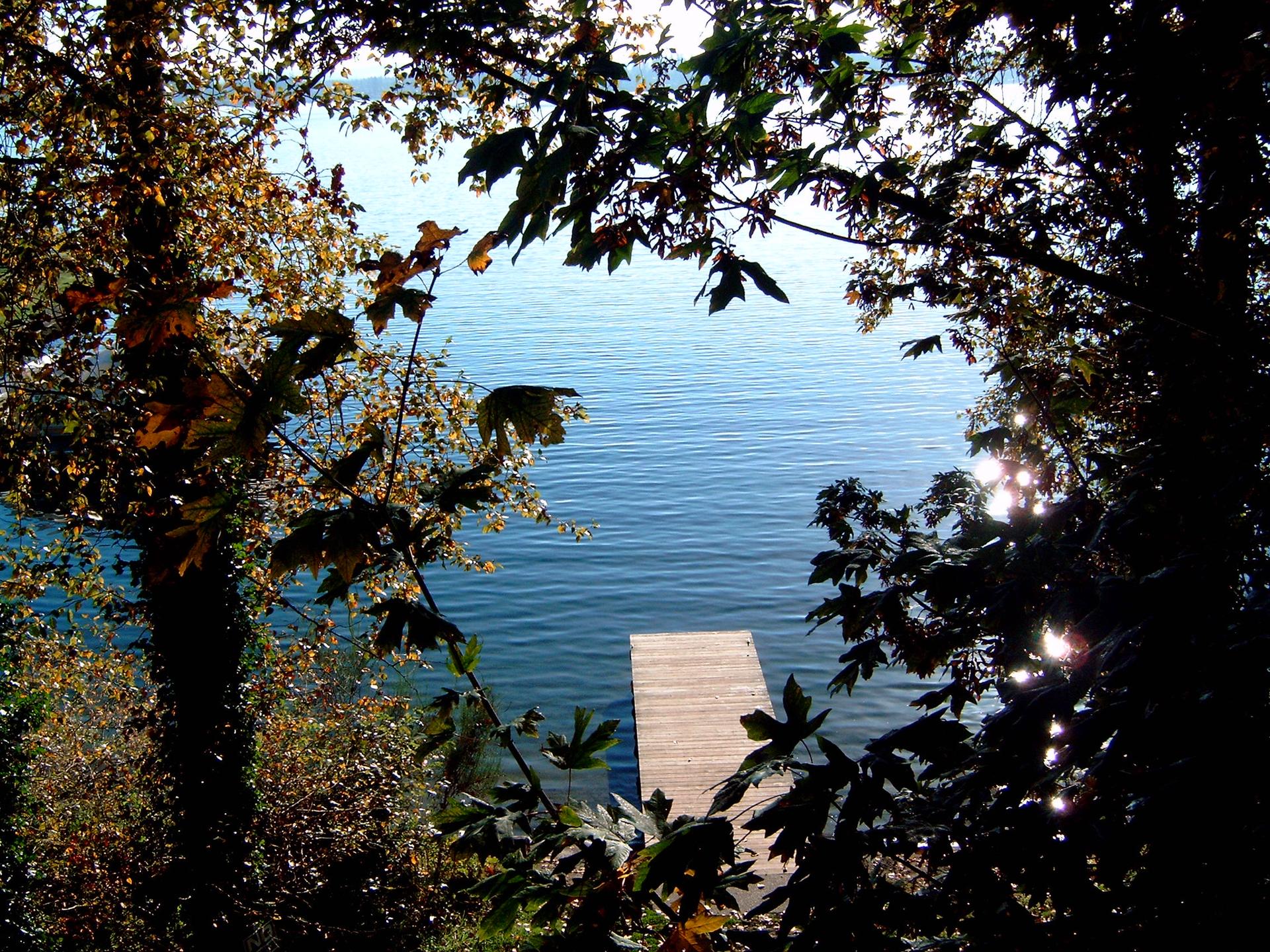 A wooden dock extends into calm water, framed by dark sunlit foliage.