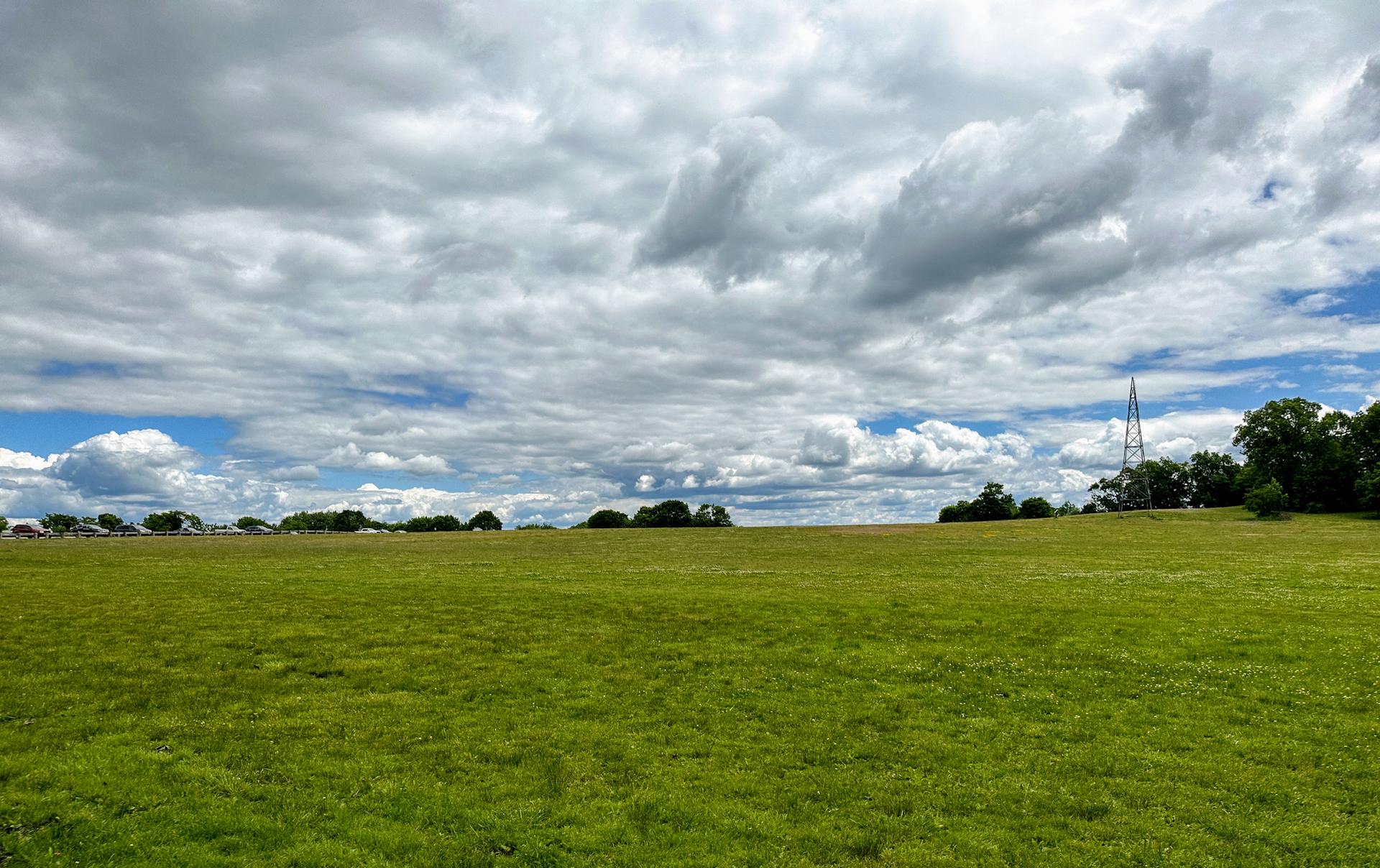 Vast green field under a dramatic cloudy sky with distant trees.