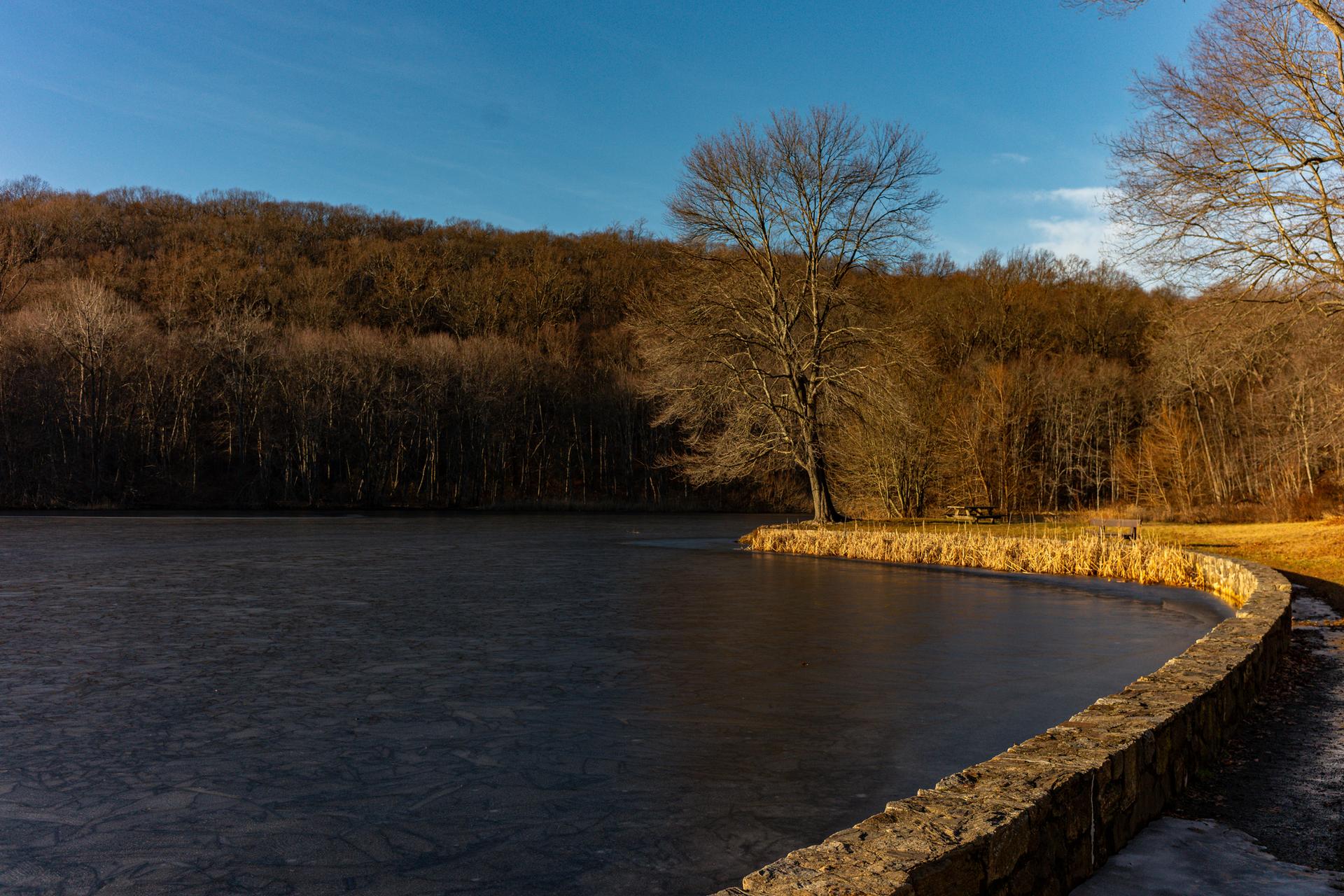 Partially frozen lake with bare trees and a stone wall under a clear sky.