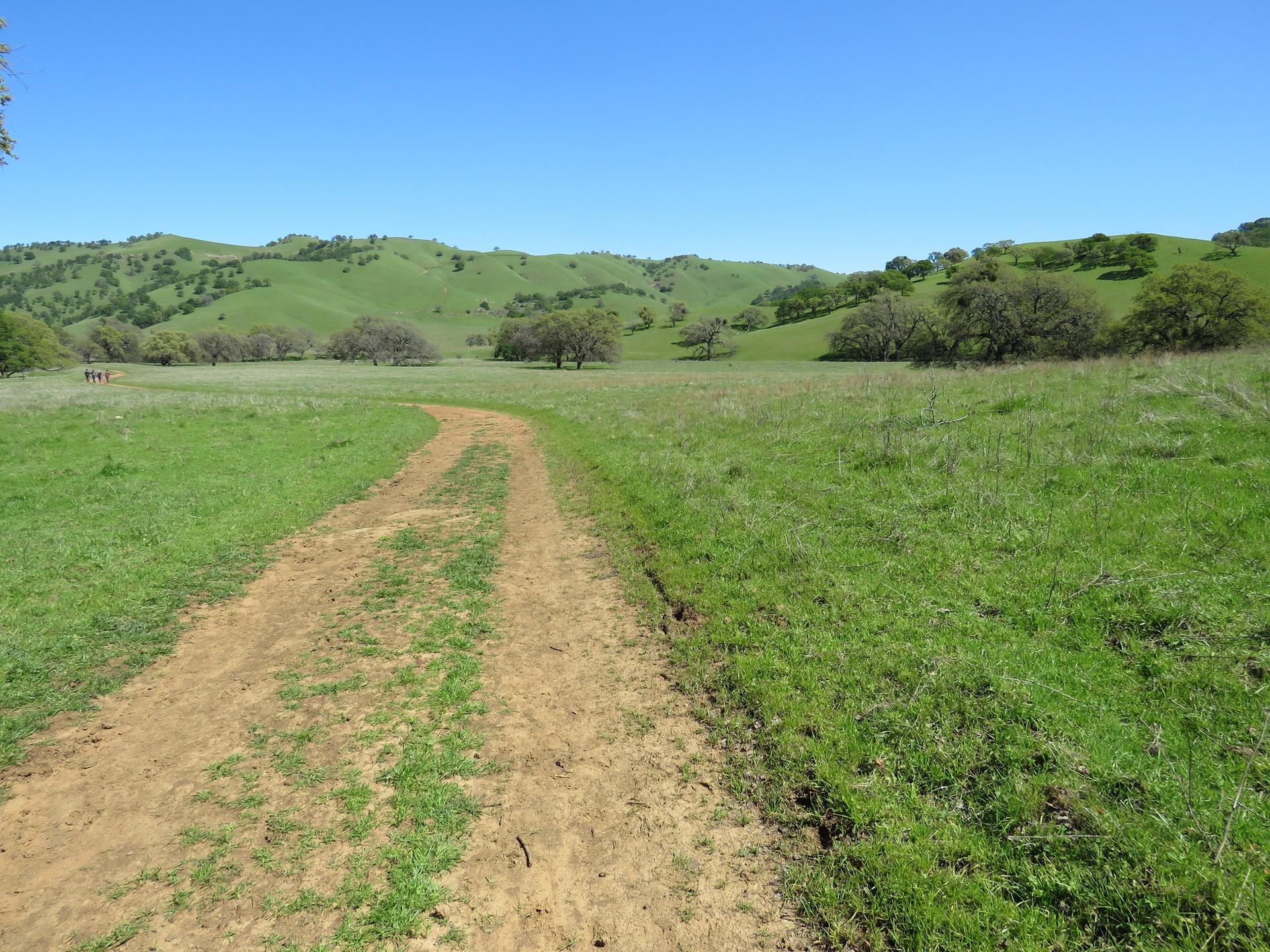 A dirt path leads through vibrant green fields towards distant rolling hills.