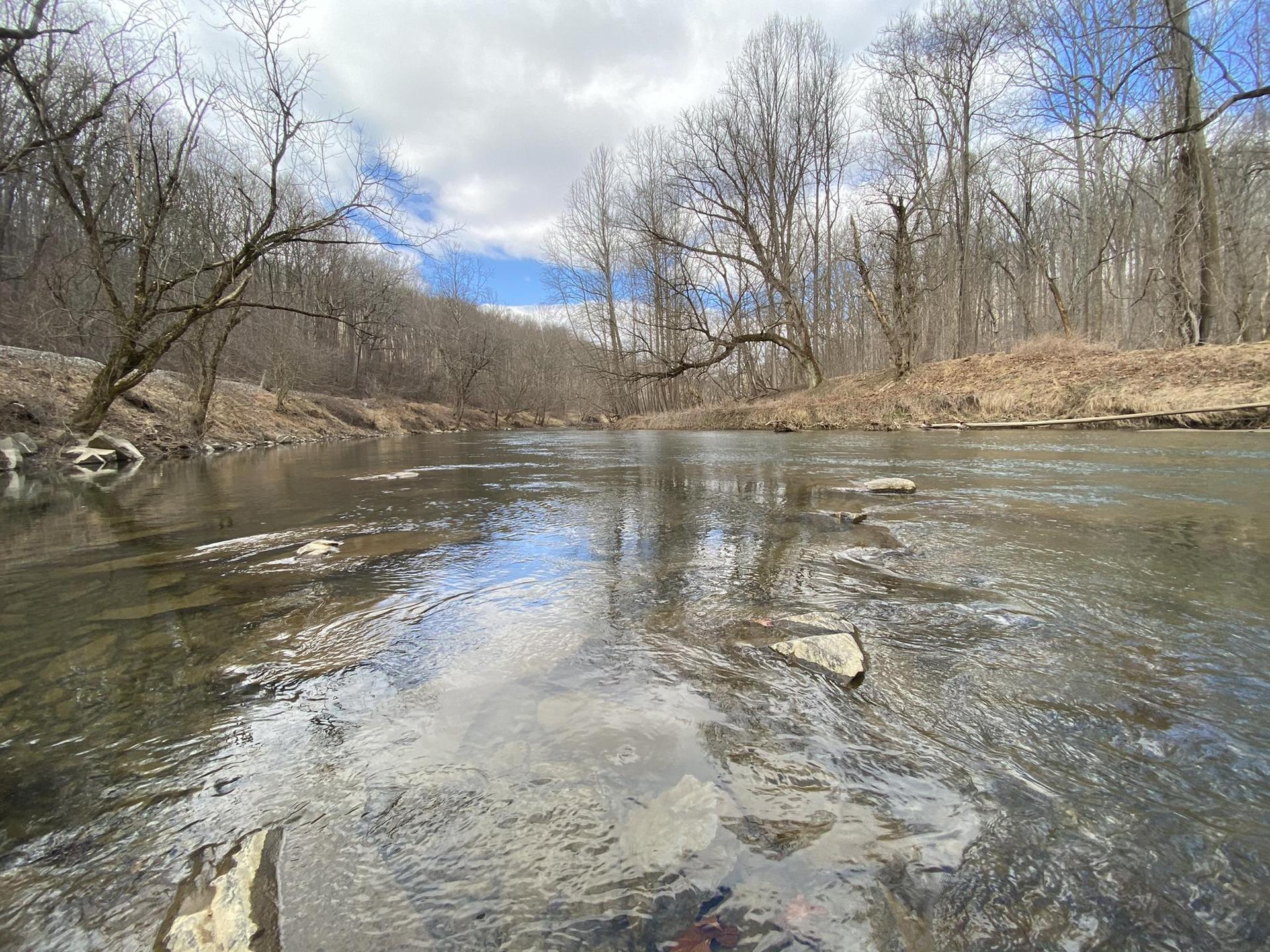 A clear river flows through a bare winter forest under a cloudy sky.