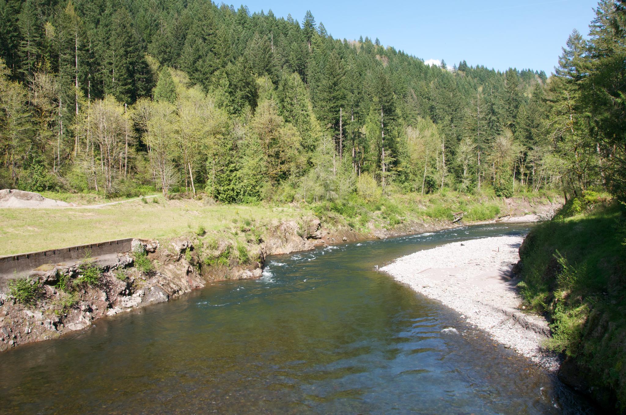 A river winds past a grassy bank and a sunny, forested hillside.
