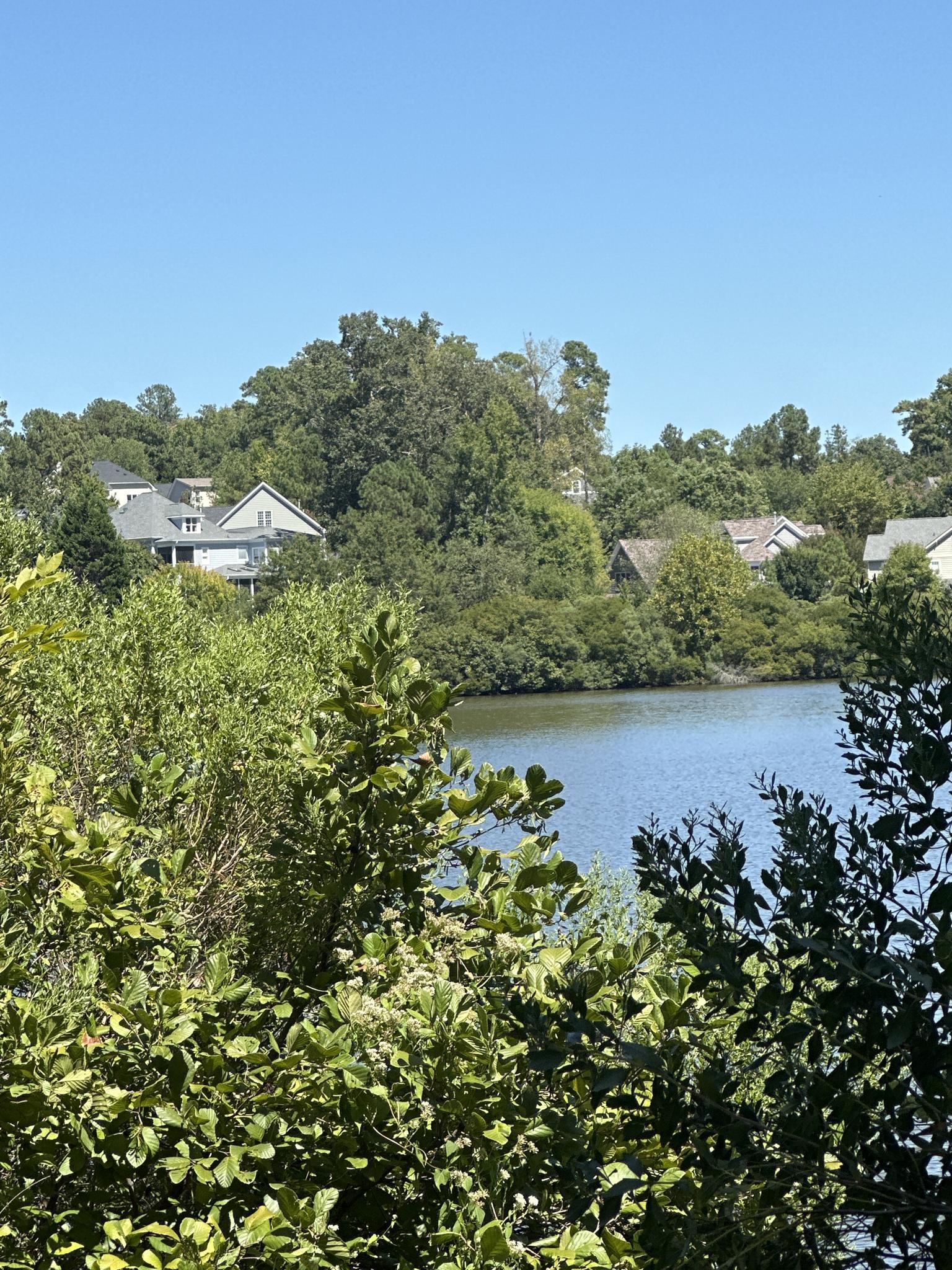 Lake visible through lush green trees, with houses on the distant shore.