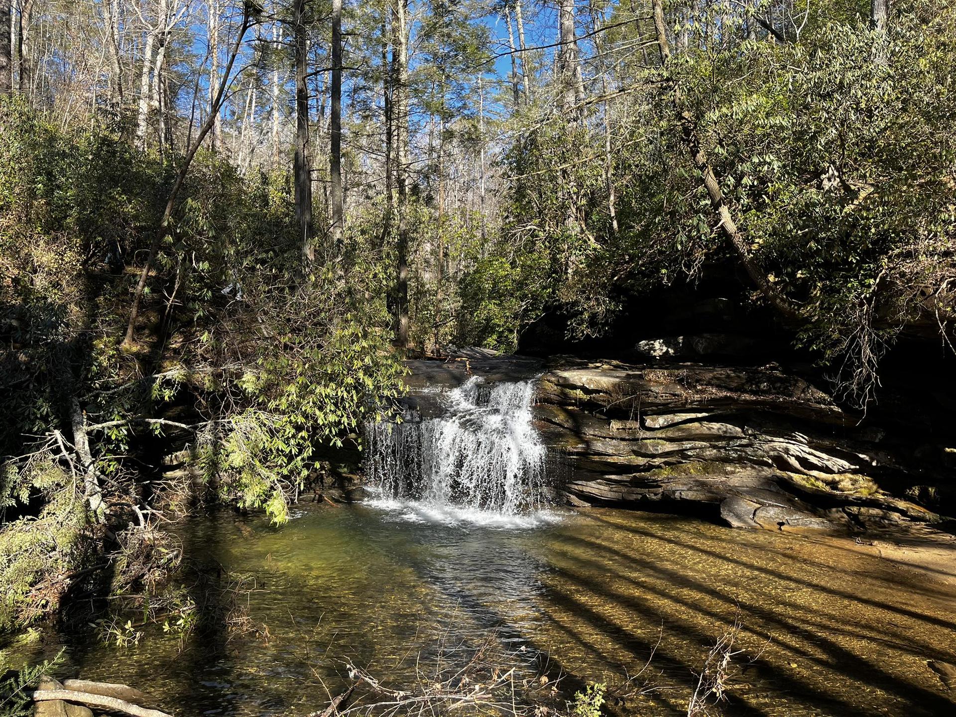 Small waterfall cascading into a clear stream in a sunlit forest.