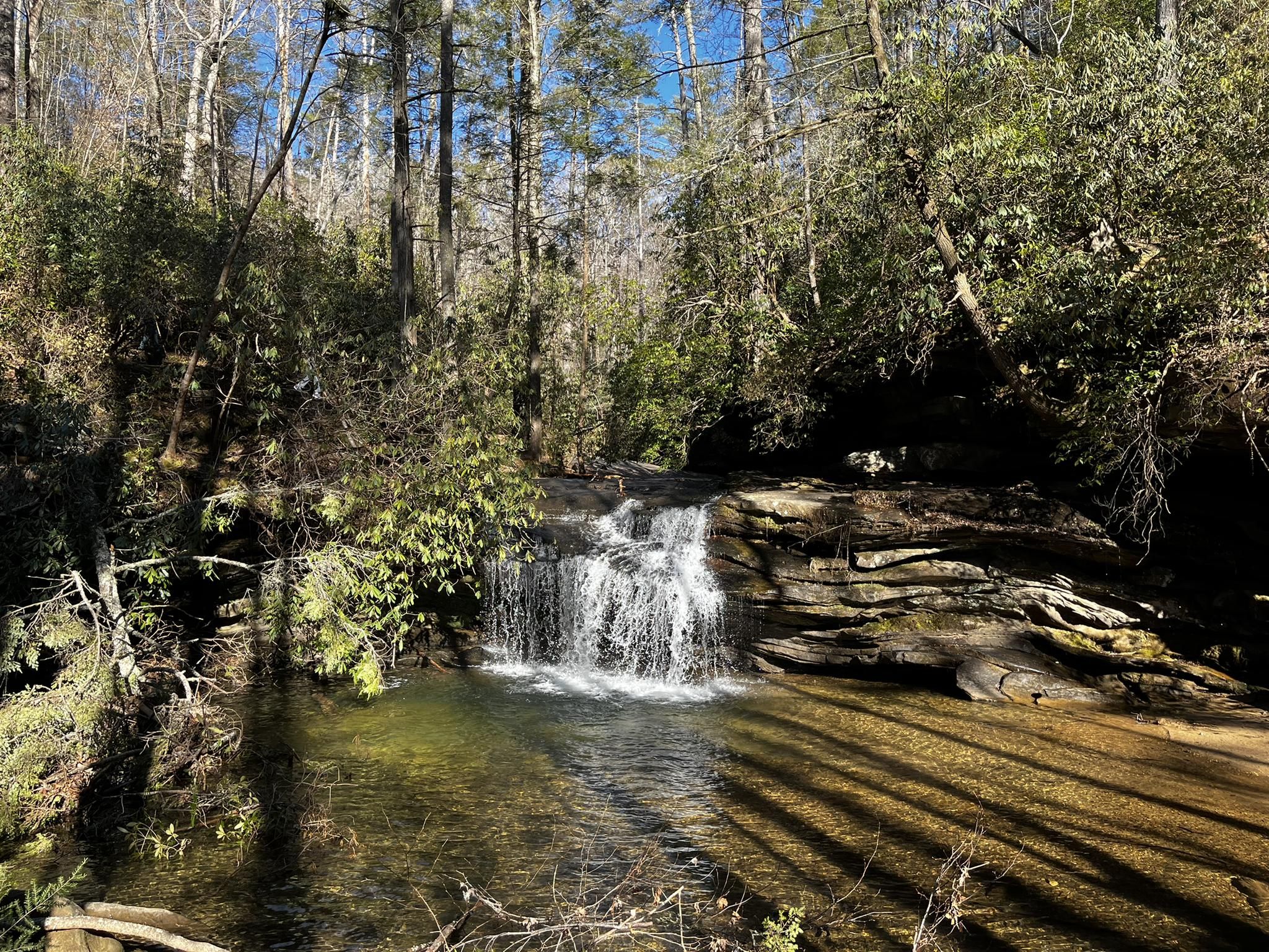 Small waterfall cascading into a clear stream in a sunlit forest. - Pinnacle Mountain Loop Trail
